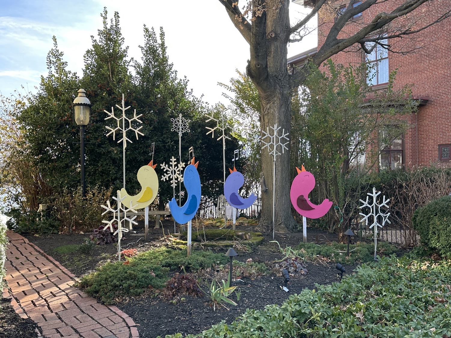 12 Days-4cawing Birds, Christmas lights in Bristol, PA (photo 1)