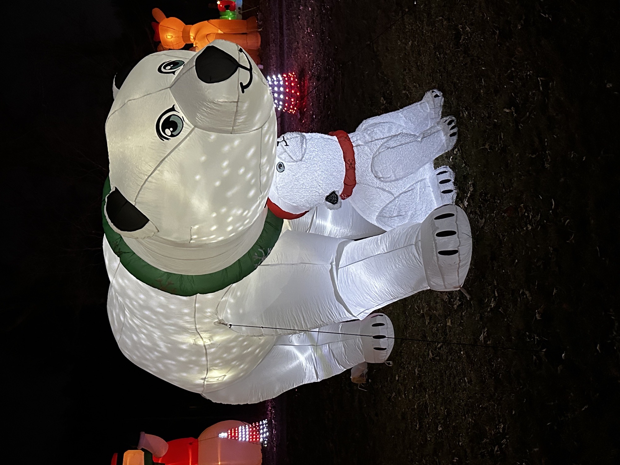 Christmas And Holiday Fun!!!, Christmas lights in Greensboro, NC (photo 1)