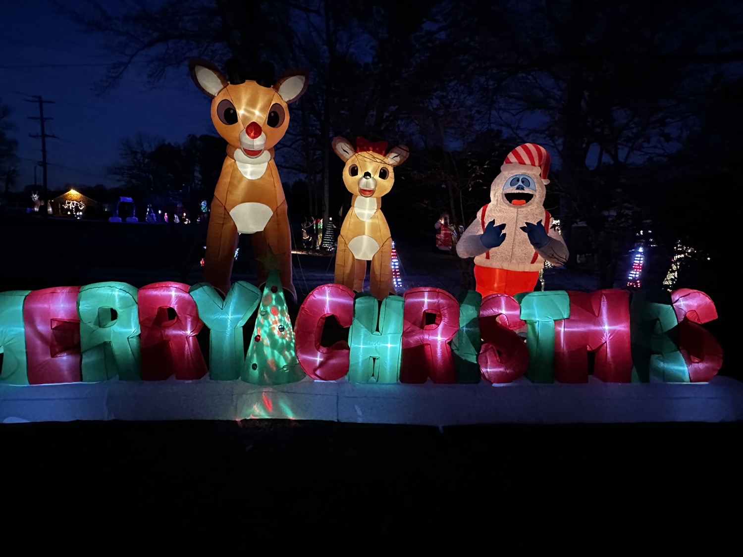Christmas And Holiday Fun!!!, Christmas lights in Greensboro, NC (photo 2)