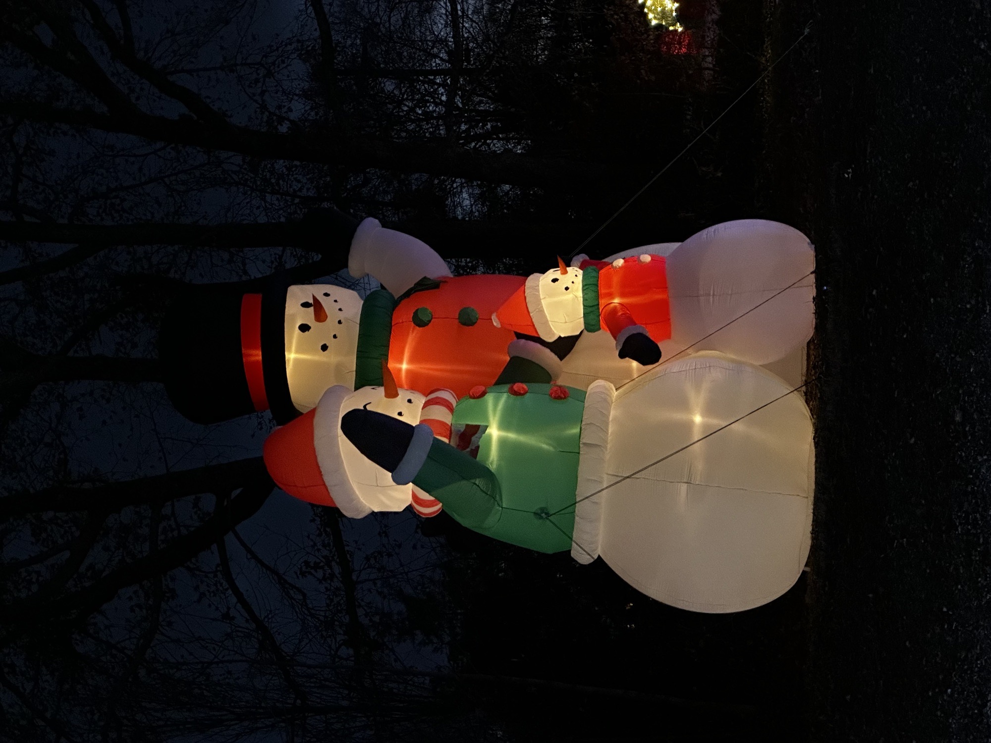 Christmas And Holiday Fun!!!, Christmas lights in Greensboro, NC (photo 3)