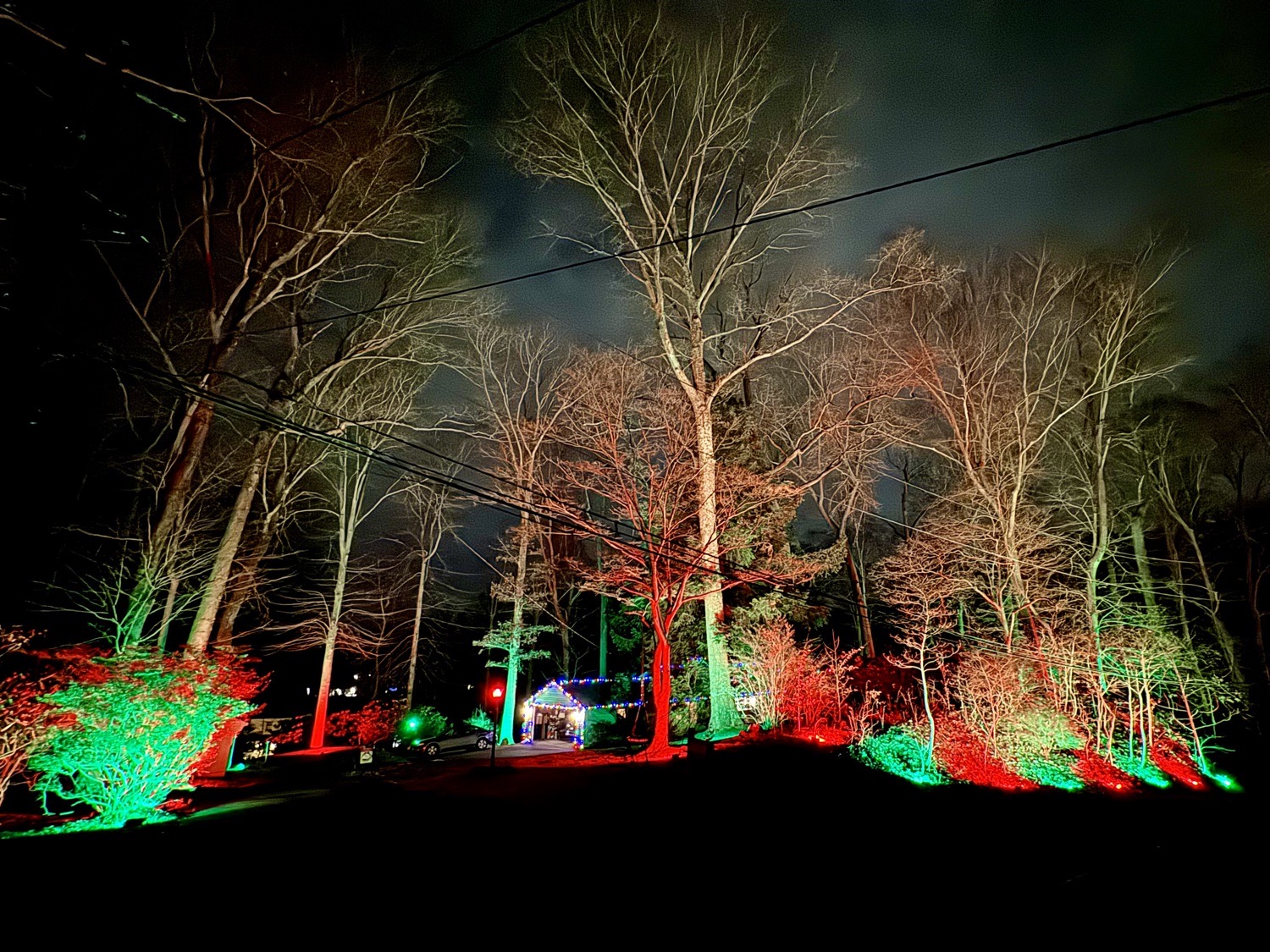 Woodland Christmas!, Christmas lights in Media, PA (photo 1)