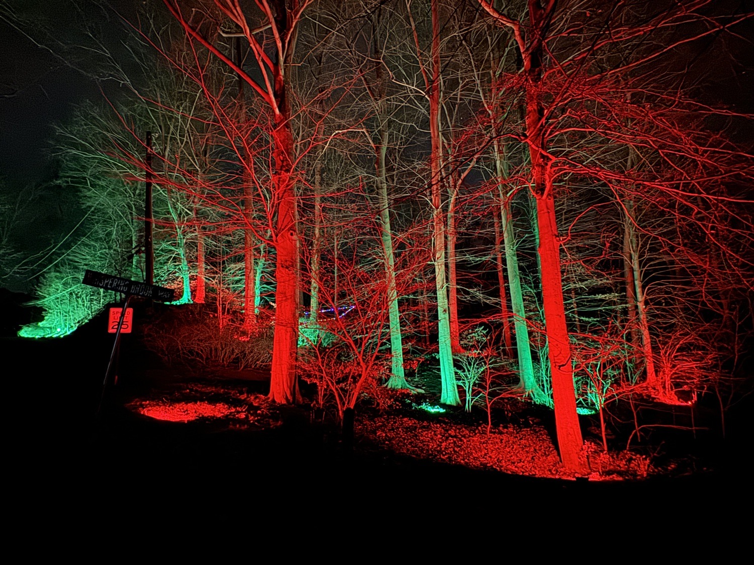 Woodland Christmas!, Christmas lights in Media, PA (photo 3)