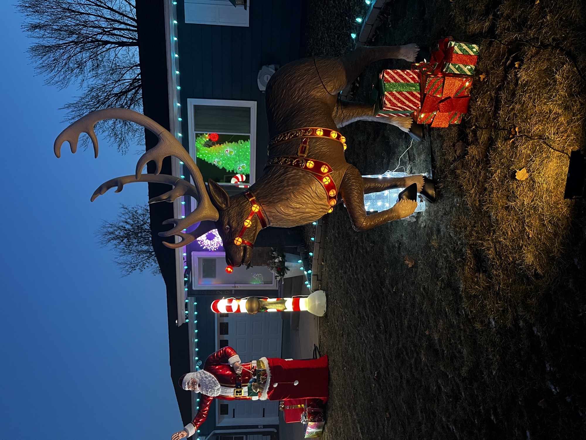 Santa & Rudolph, Christmas lights in Maple Plain, MN (photo 3)