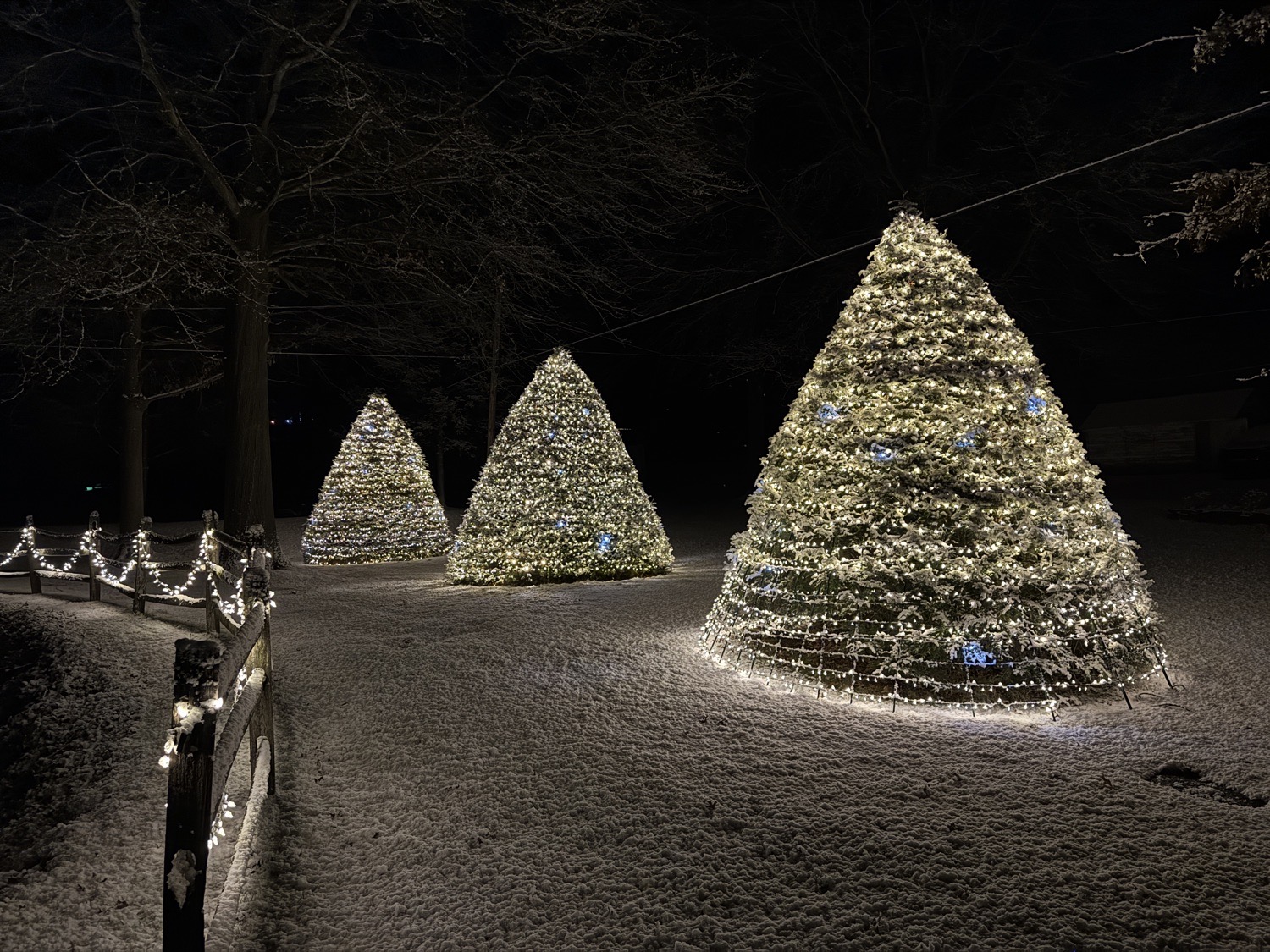 Classic Christmas, Christmas lights in Sunbury, PA (photo 2)
