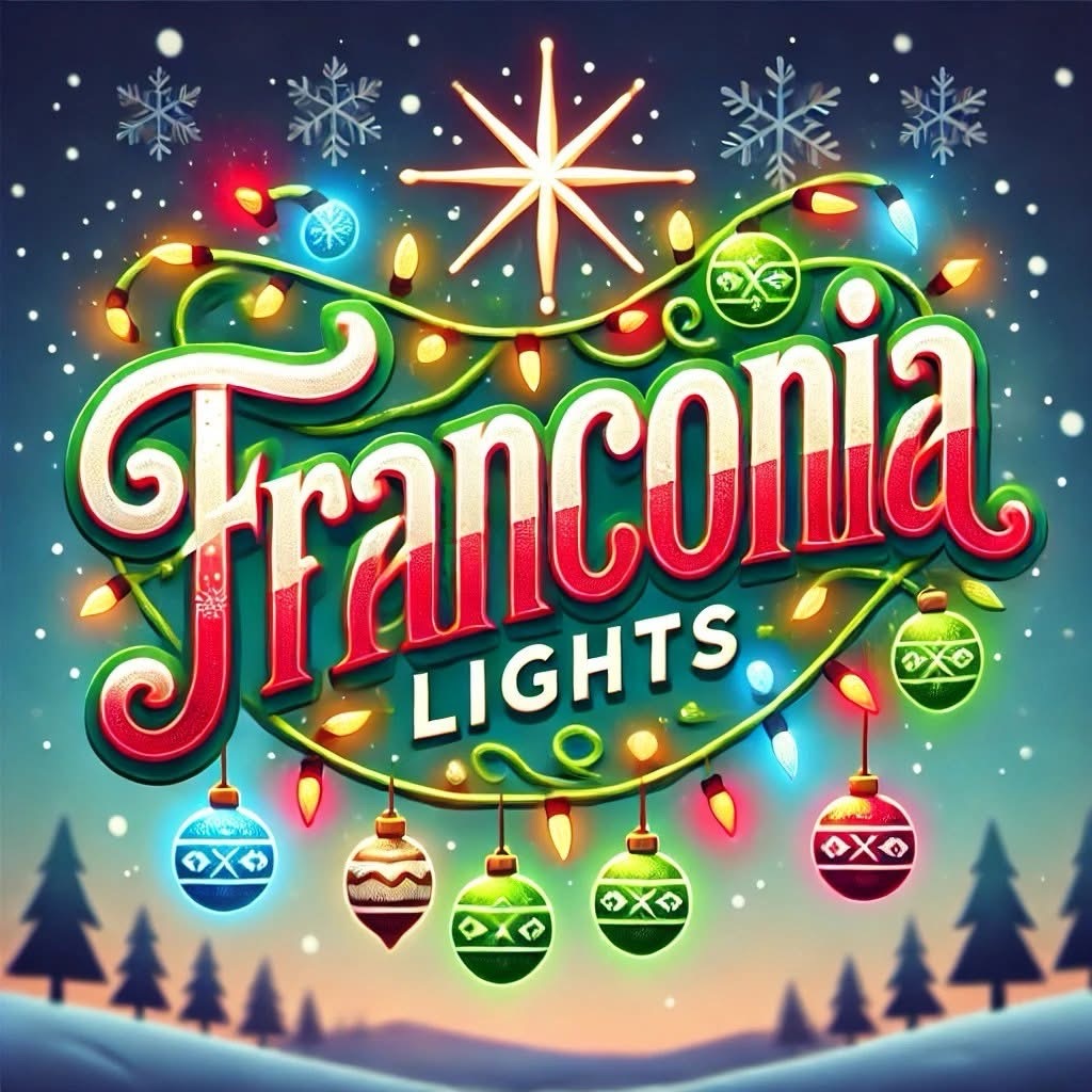 Franconia Lights, Christmas lights in Alexandria, VA (photo 1)