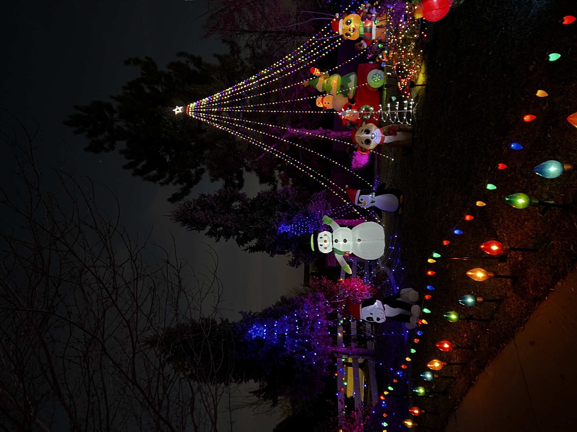 Halbeisen’s Nightmare Before X-mas, Christmas lights in Broomfield, CO (photo 2)