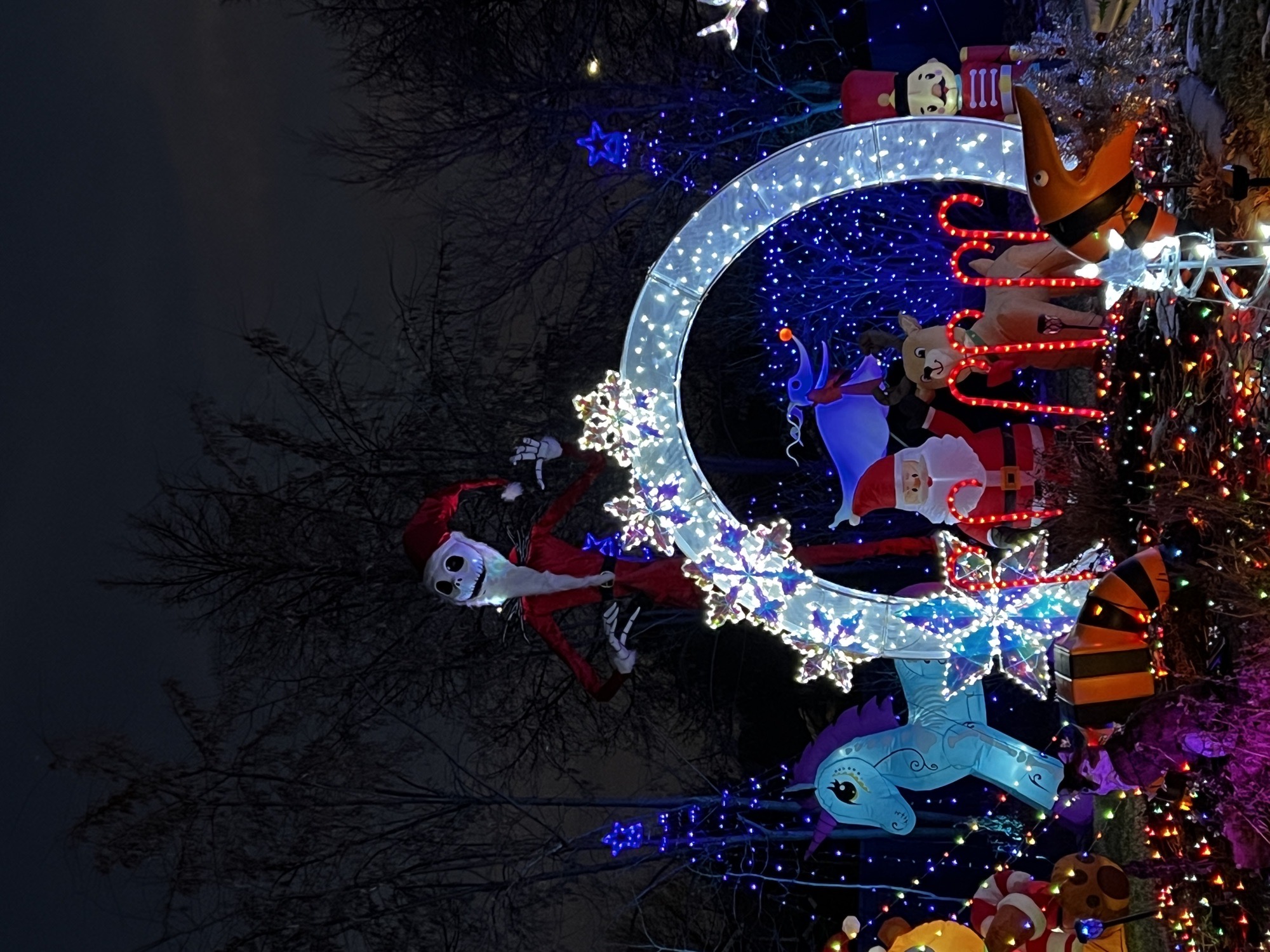 Halbeisen’s Nightmare Before X-mas, Christmas lights in Broomfield, CO (photo 5)