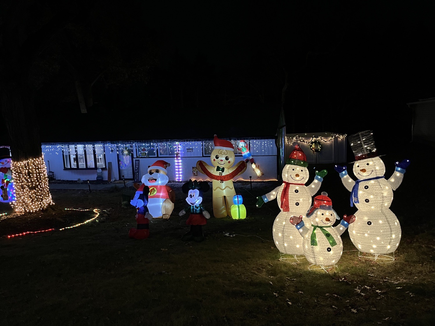 Holiday lights on Hillside, Christmas lights in Norristown, PA (photo 4)