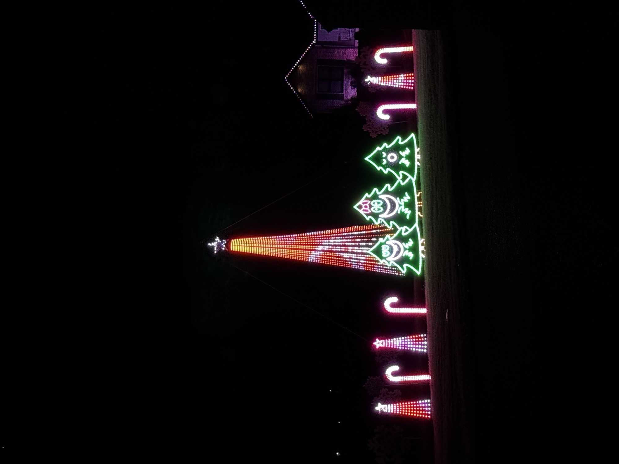 Lights On Kings Ct, Christmas lights in Ozark, MO (photo 1)