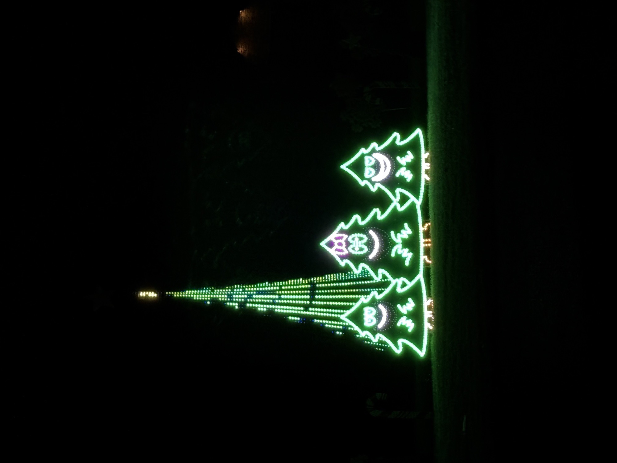 Lights On Kings Ct, Christmas lights in Ozark, MO (photo 2)