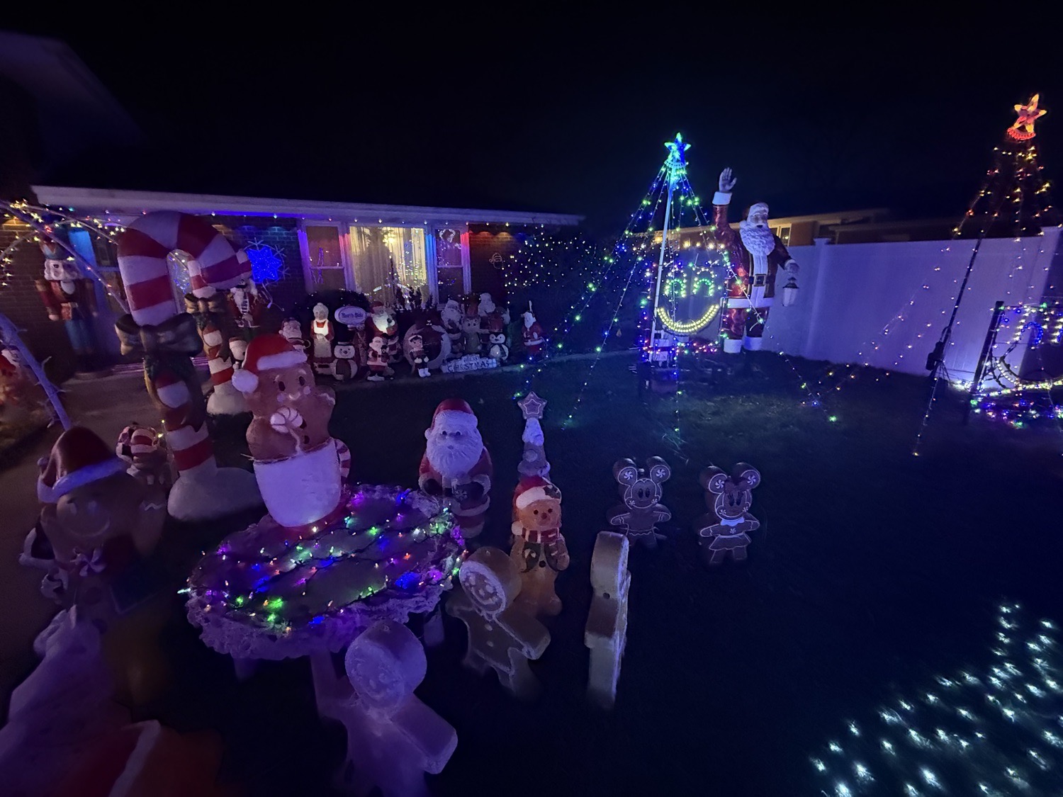 House on Bock, Christmas lights in Lansing, IL (photo 4)