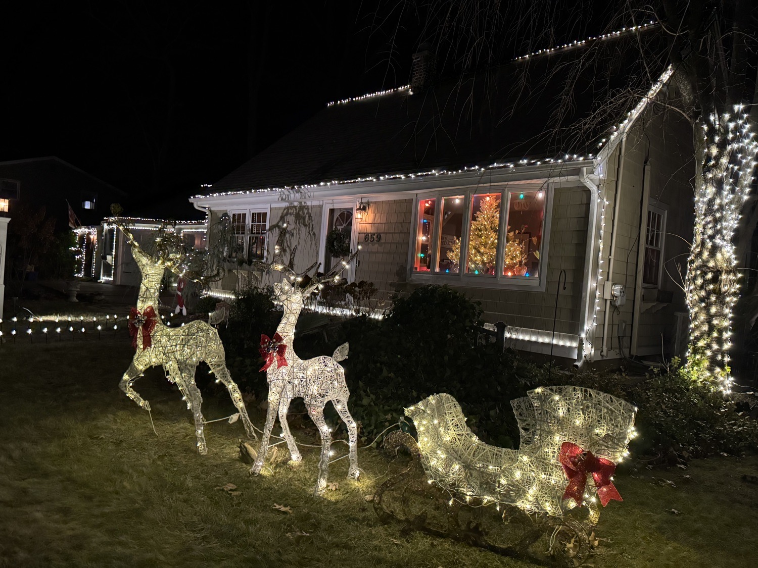 Bradley Street East Haven, Christmas lights in East Haven, CT (photo 2)
