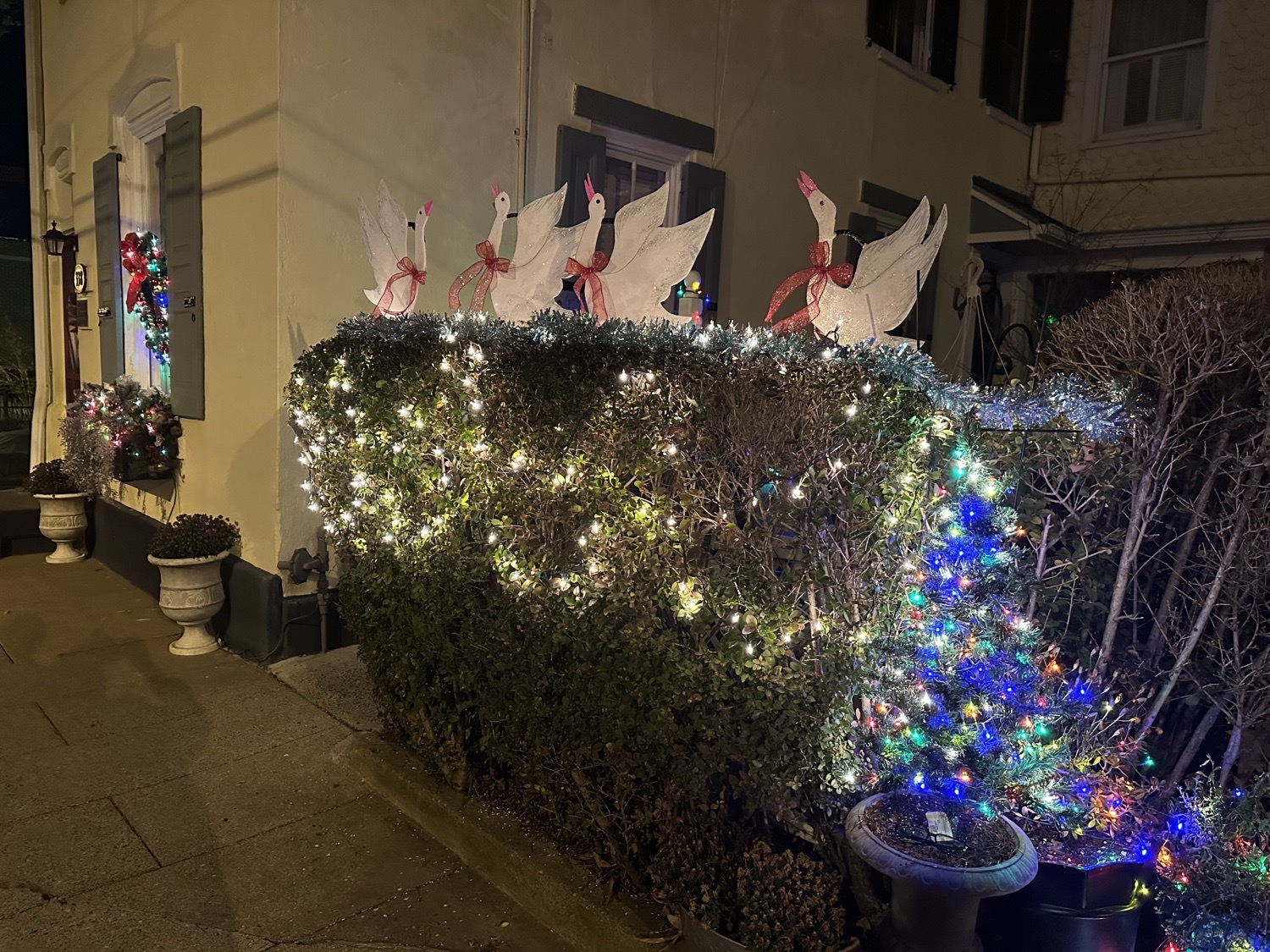 12 Days Of Christmas-4 Cawing Birds, Christmas lights in Bristol, PA (photo 1)