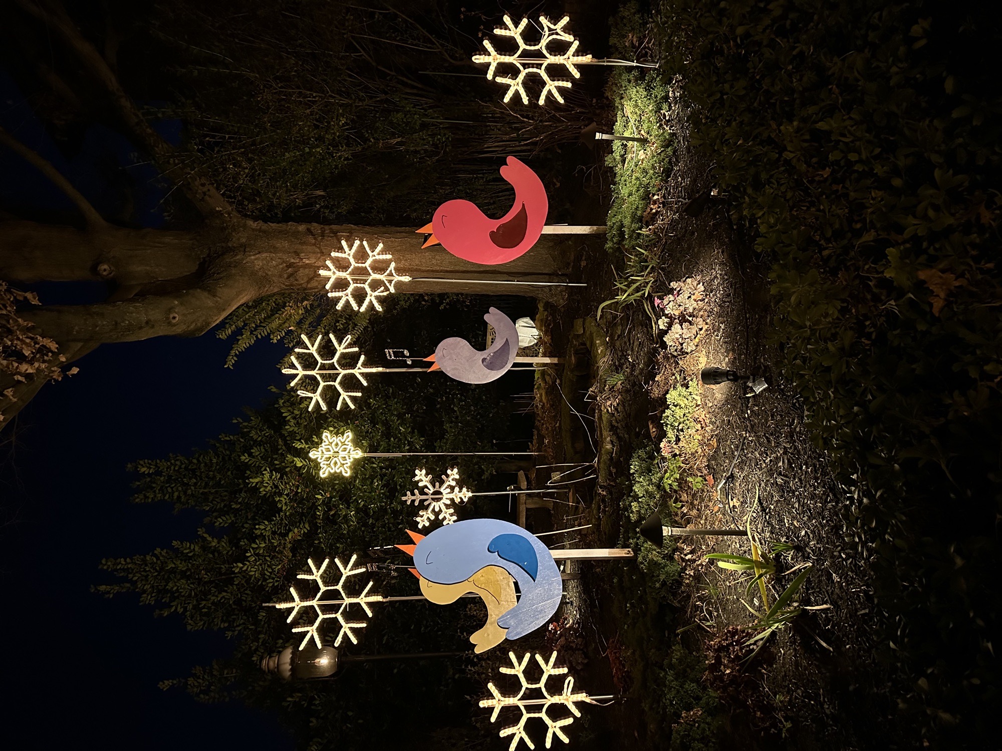 12 Days-4cawing Birds, Christmas lights in Bristol, PA (photo 2)