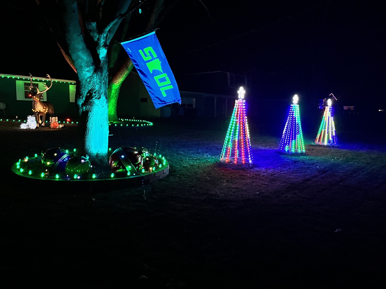 Santa & Rudolph, Christmas lights in Maple Plain, MN (photo 2)