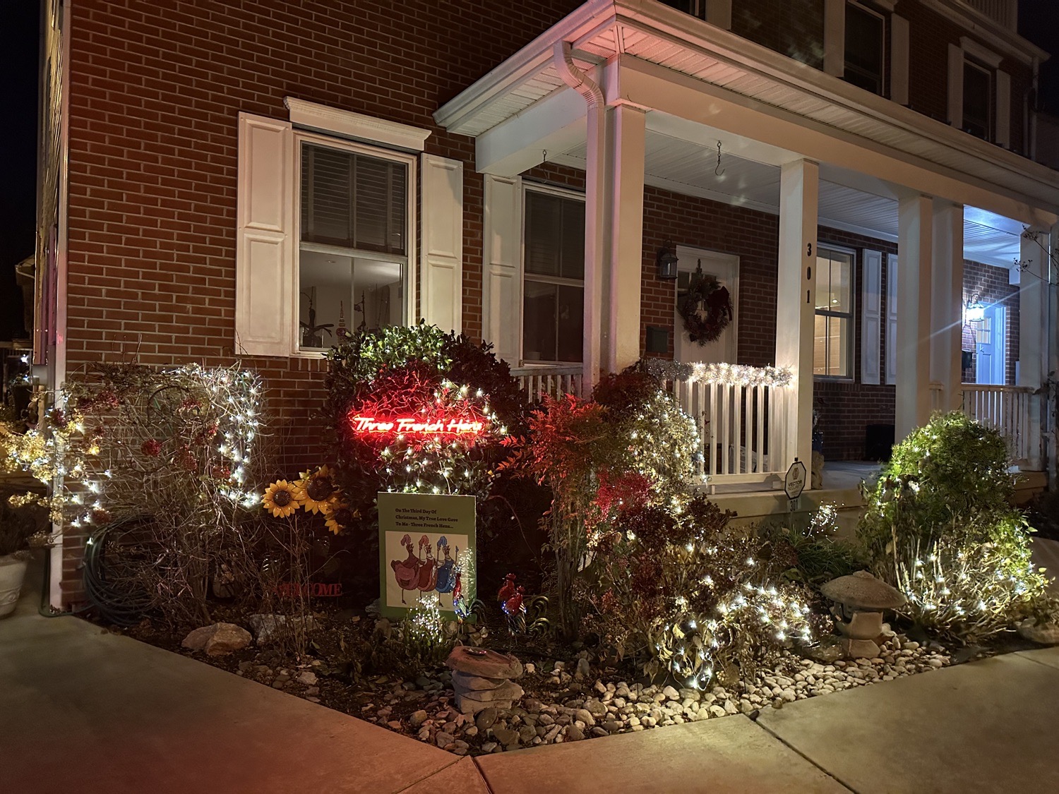 12 Days Of Christmas-3 French Hens, Christmas lights in Bristol, PA (photo 1)