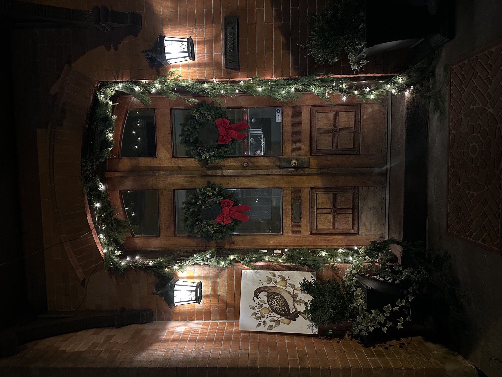 12 Days Of Christmas- Partridge In A Pear Tree, Christmas lights in Bristol, PA (photo 1)