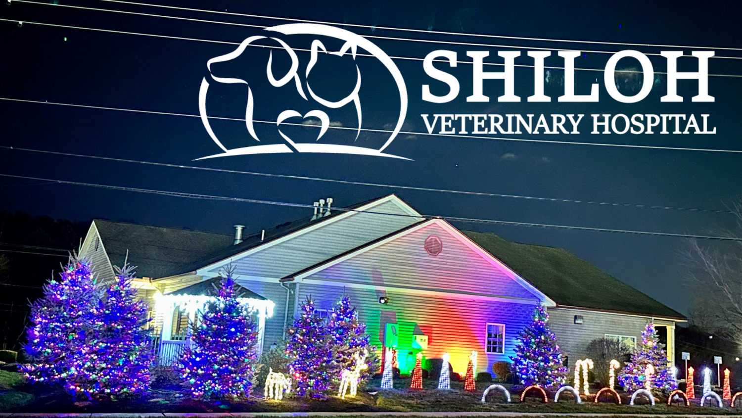 Shiloh Vet Dazzling Light Show Spectacular!, Christmas lights in York, PA (photo 1)