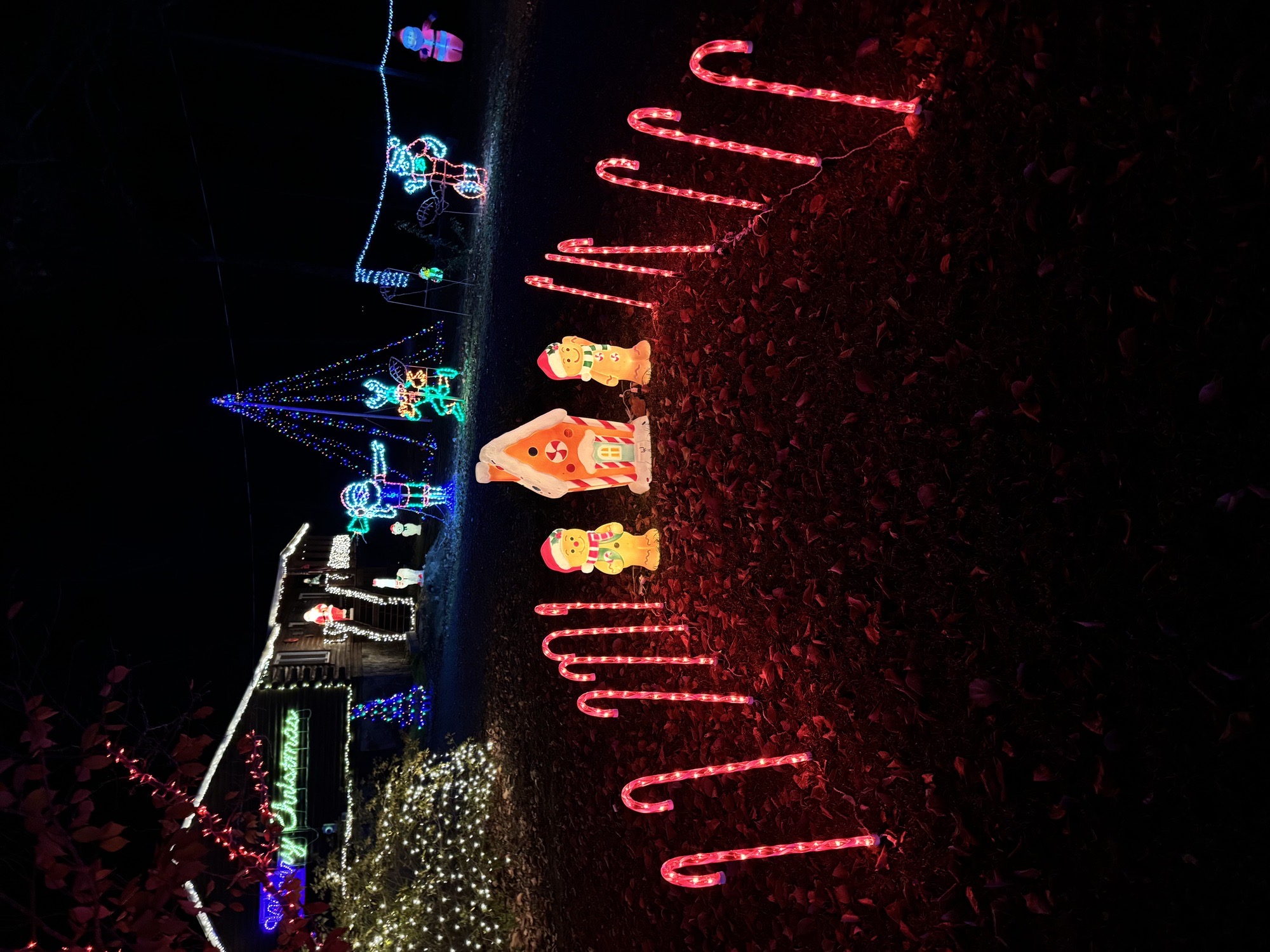 Blue Pond Gap Lights, Christmas lights in Cedar Bluff, AL (photo 2)
