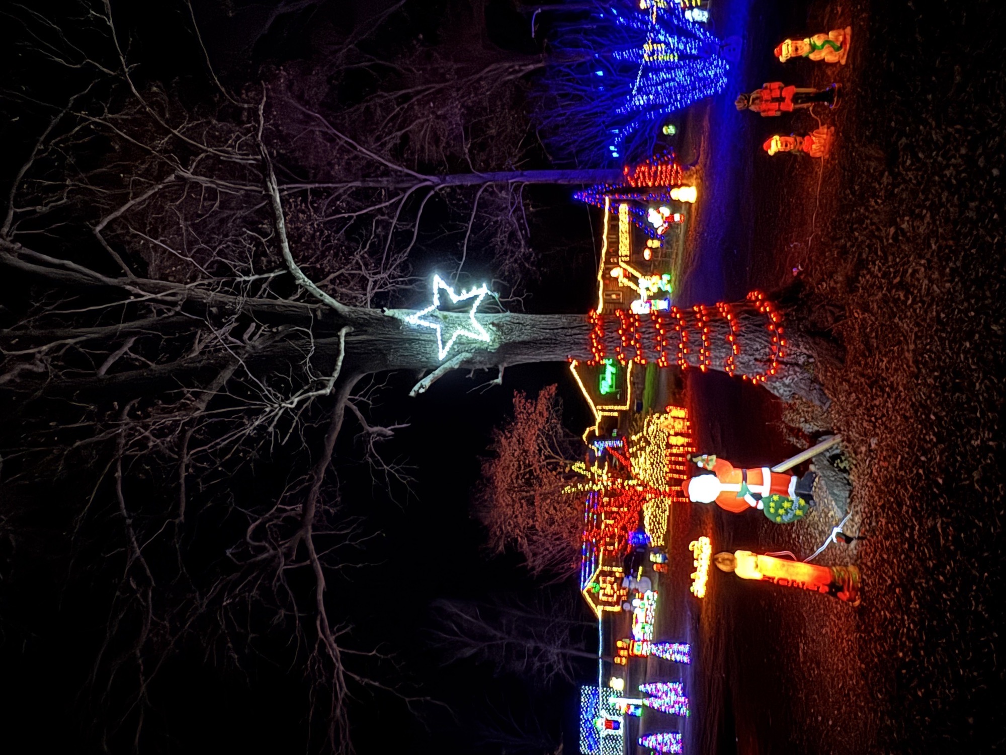 Blue Pond Gap Lights, Christmas lights in Cedar Bluff, AL (photo 4)