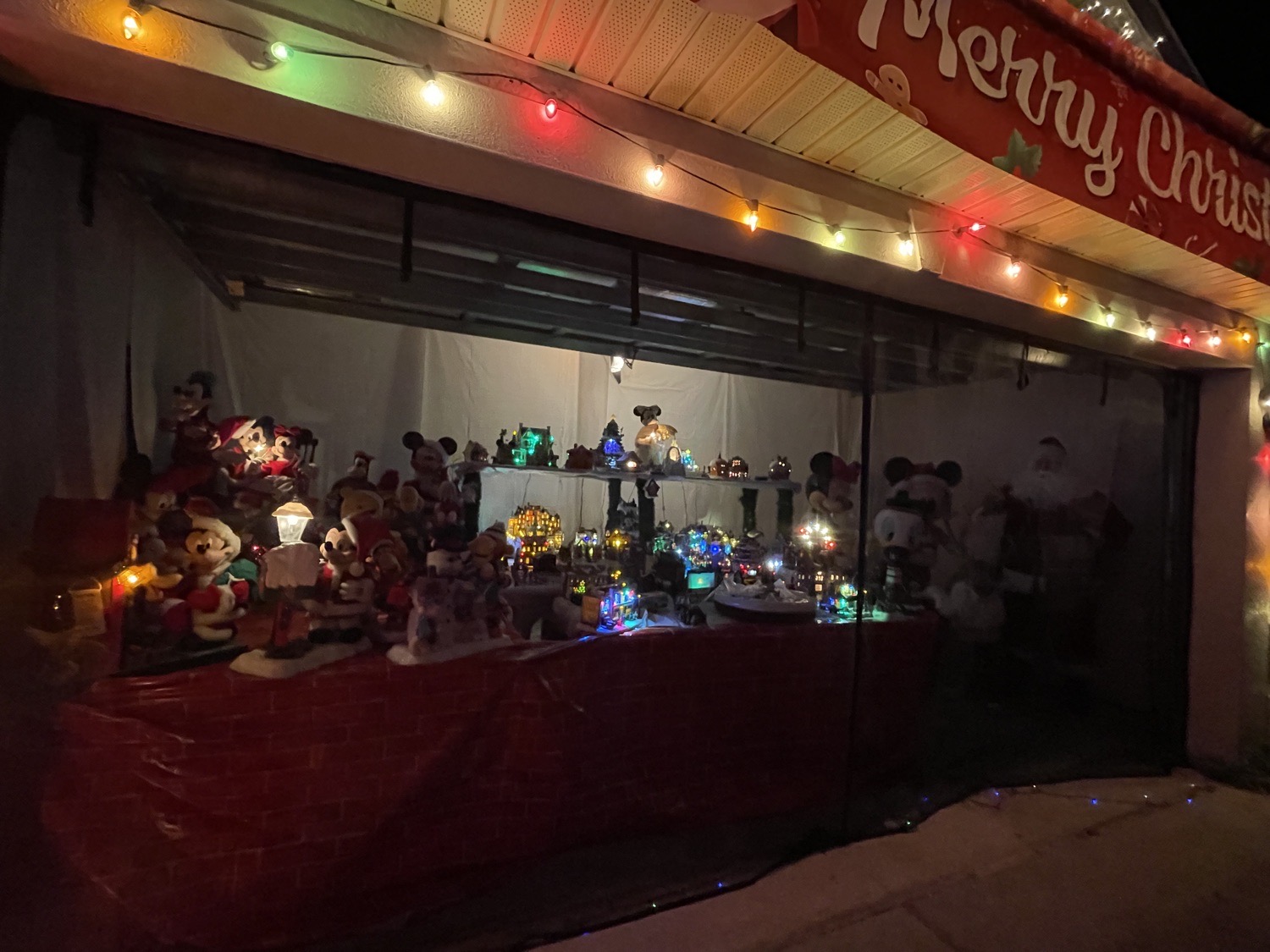 Mcadams, Christmas lights in Saint Cloud, FL (photo 2)