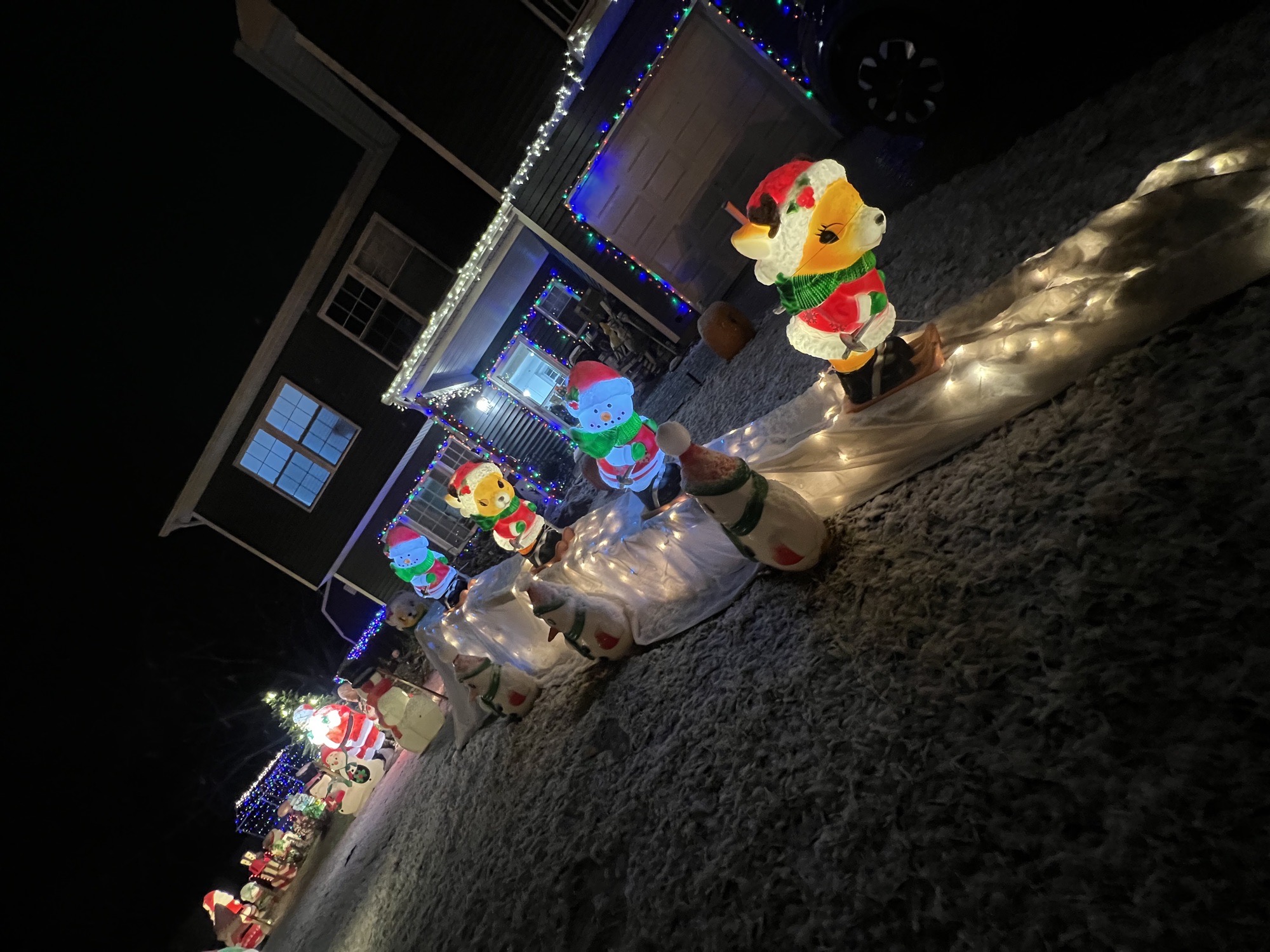 Scotto’s Christmas Wonderland, Christmas lights in Englishtown, NJ (photo 2)