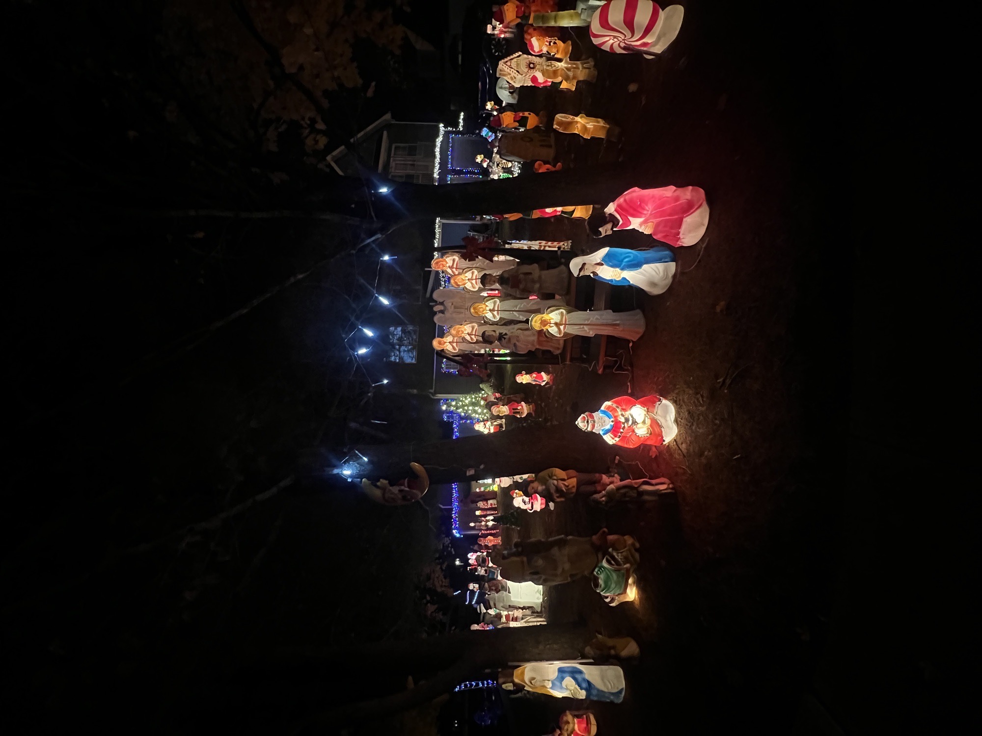 Scotto’s Christmas Wonderland, Christmas lights in Englishtown, NJ (photo 3)