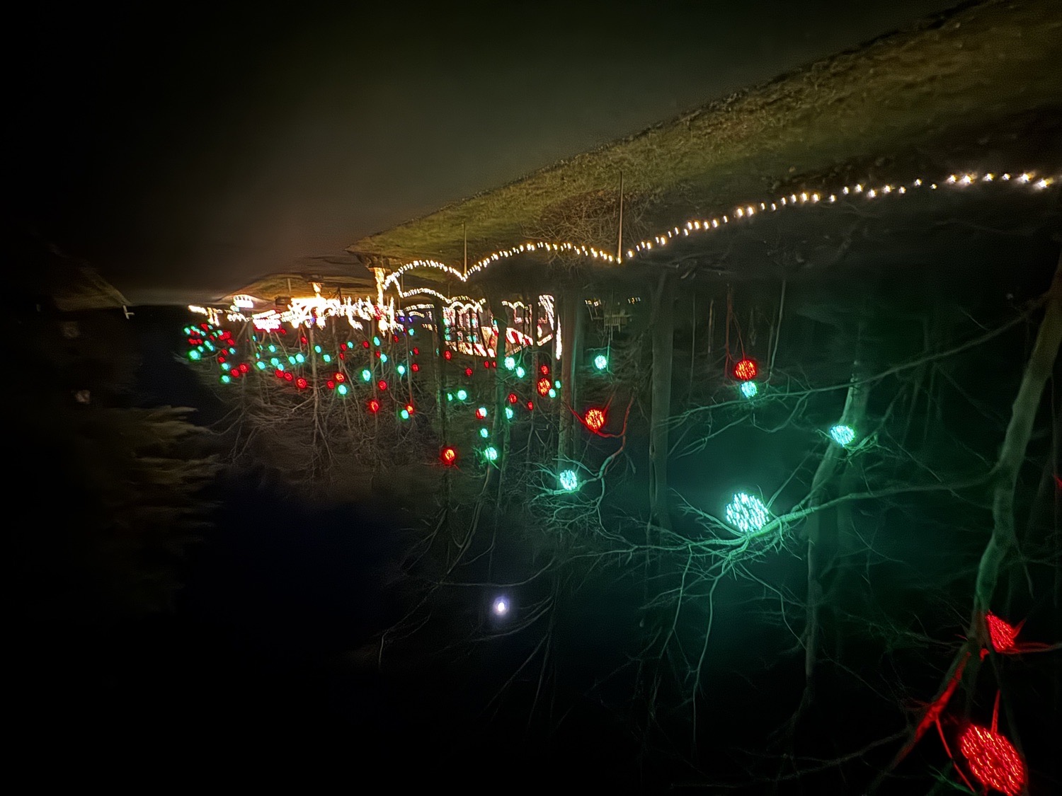 A Content Christmas, Christmas lights in Reisterstown, MD (photo 4)
