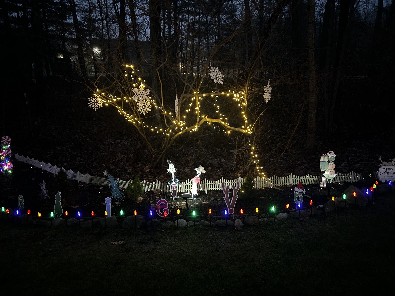 Traditional Christmas, Christmas lights in Rehoboth, MA (photo 3)