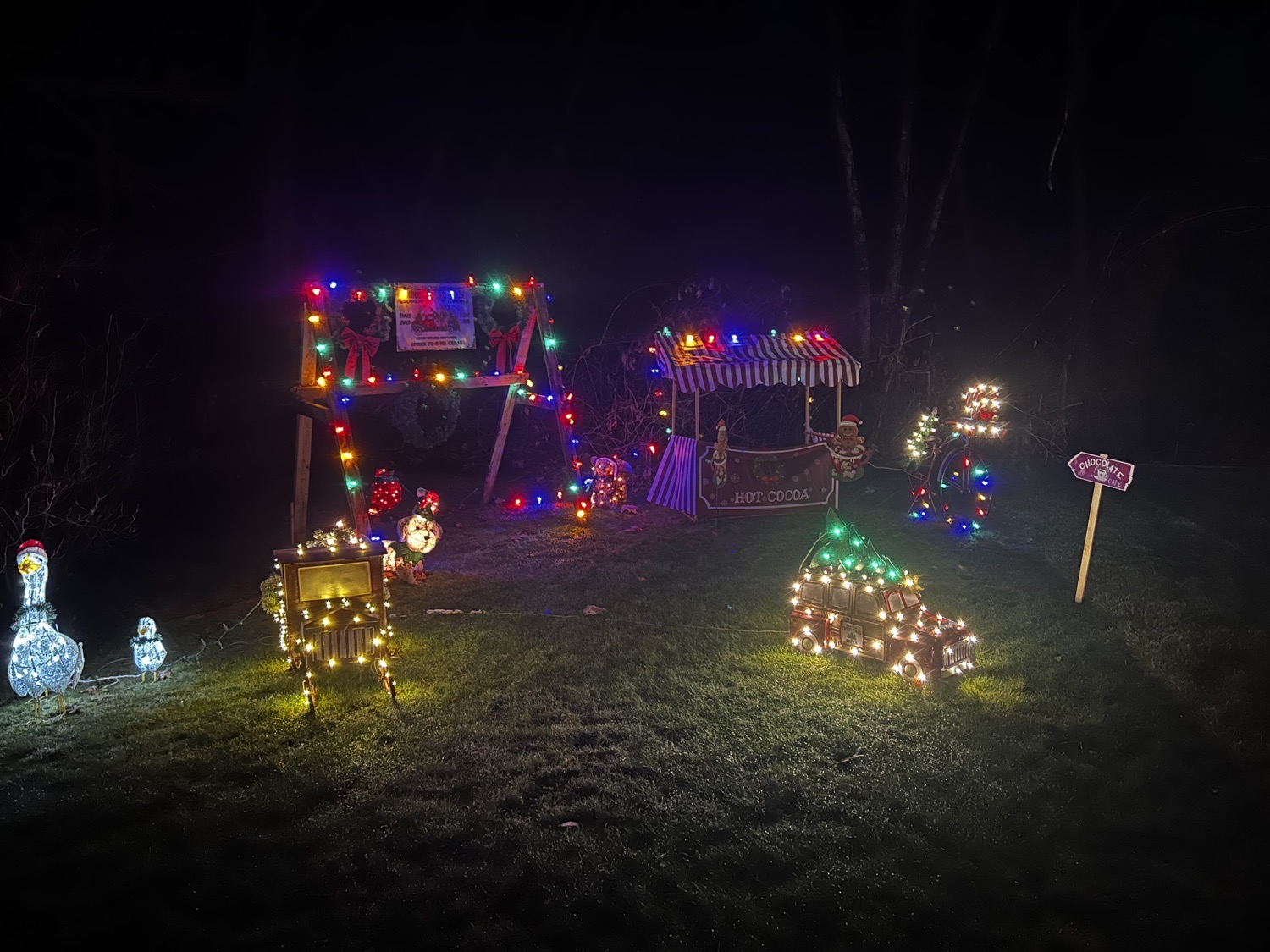 Traditional Christmas, Christmas lights in Rehoboth, MA (photo 4)