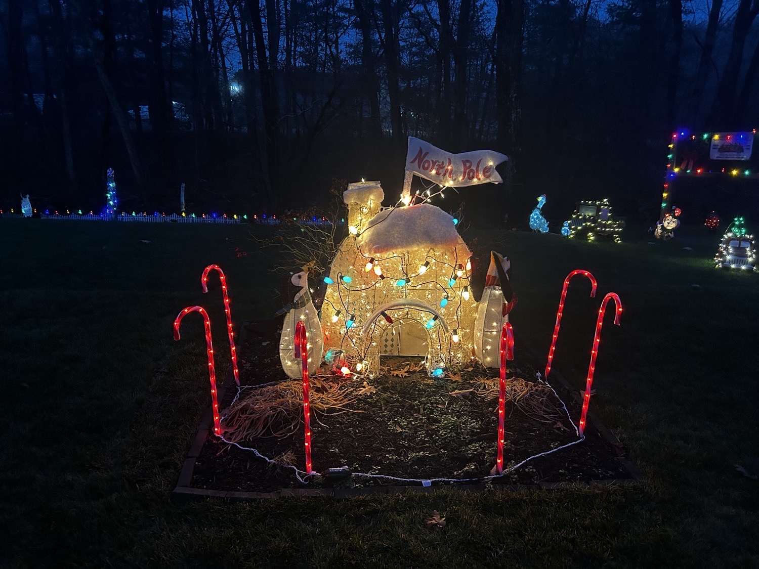 Traditional Christmas, Christmas lights in Rehoboth, MA (photo 5)