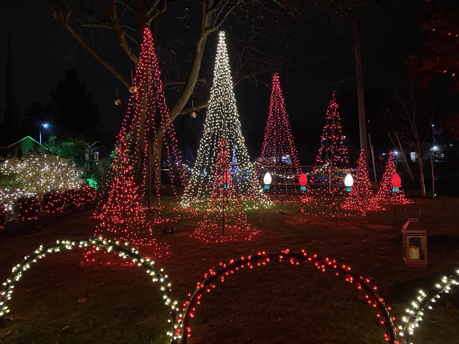 Candy Cane on Pickwick Lane, Christmas lights in Newtown Square, PA (photo 3)