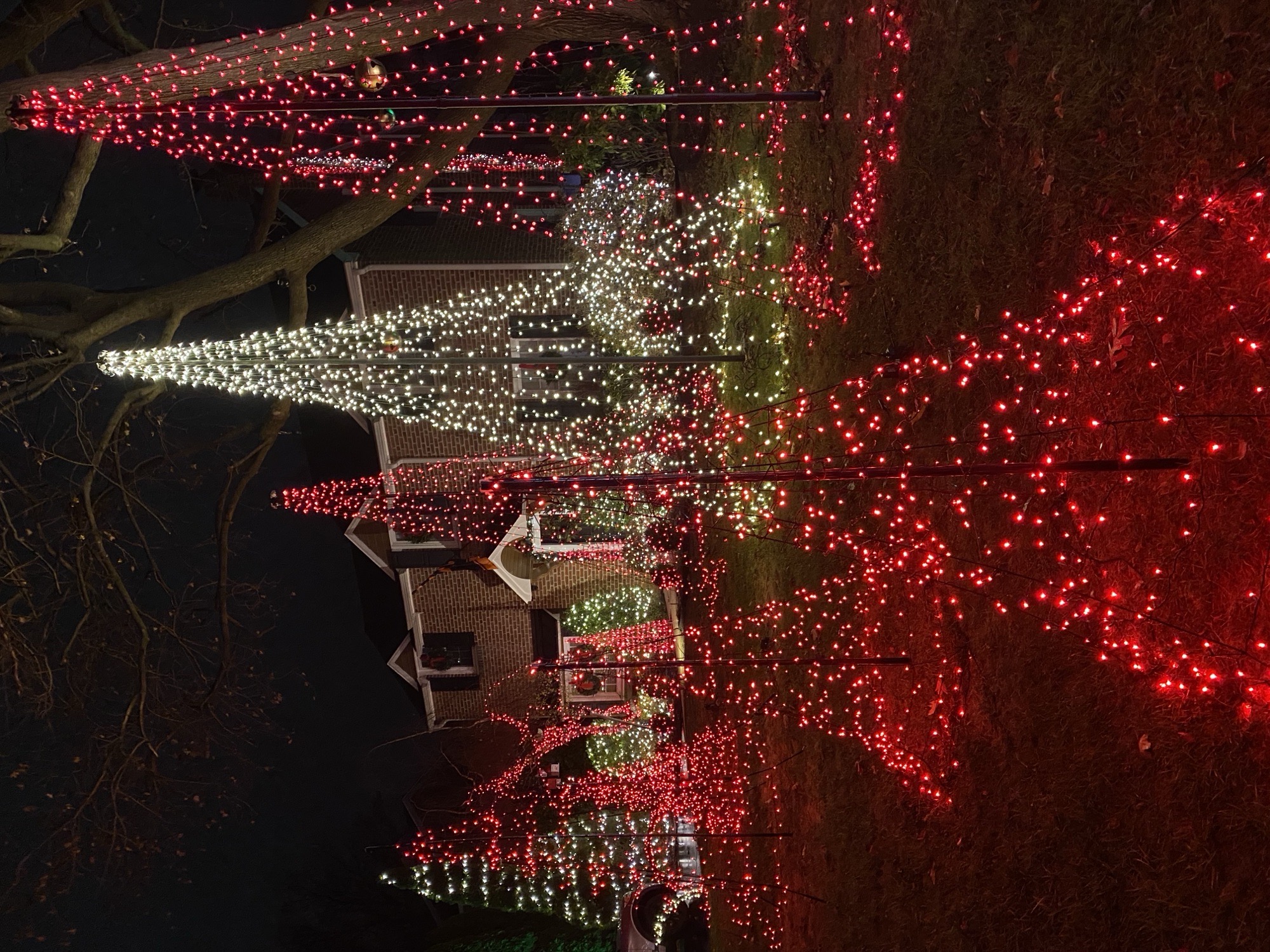 Candy Cane on Pickwick Lane, Christmas lights in Newtown Square, PA (photo 4)