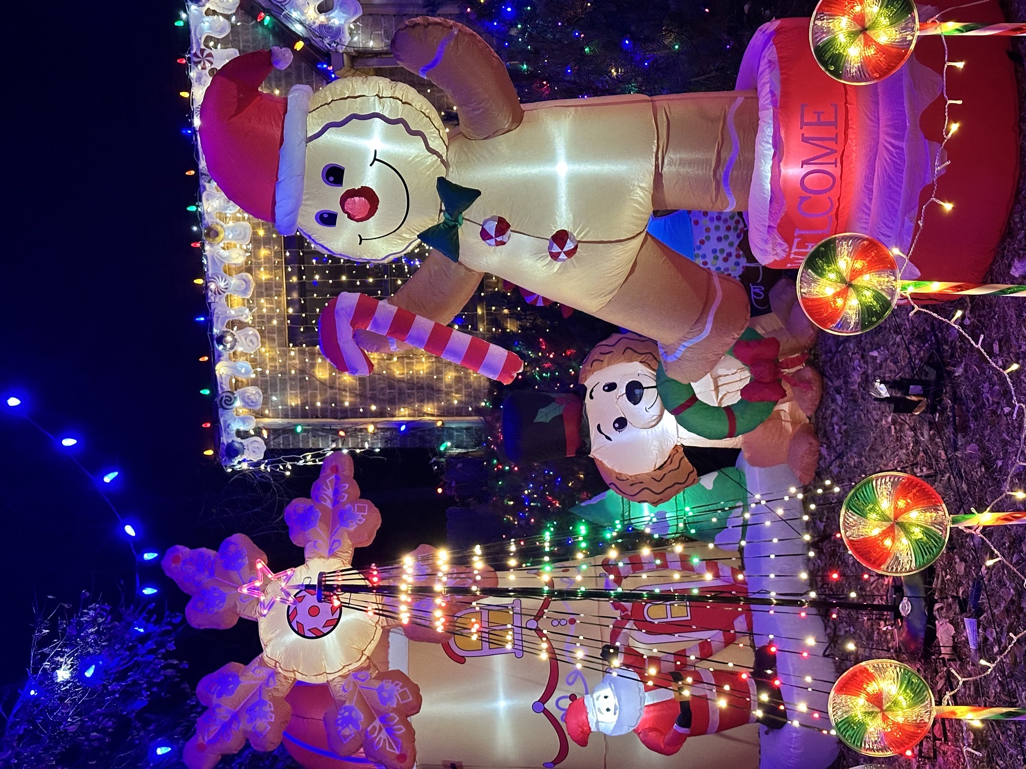 Ivy Street Holiday House, Christmas lights in Denver, CO (photo 2)
