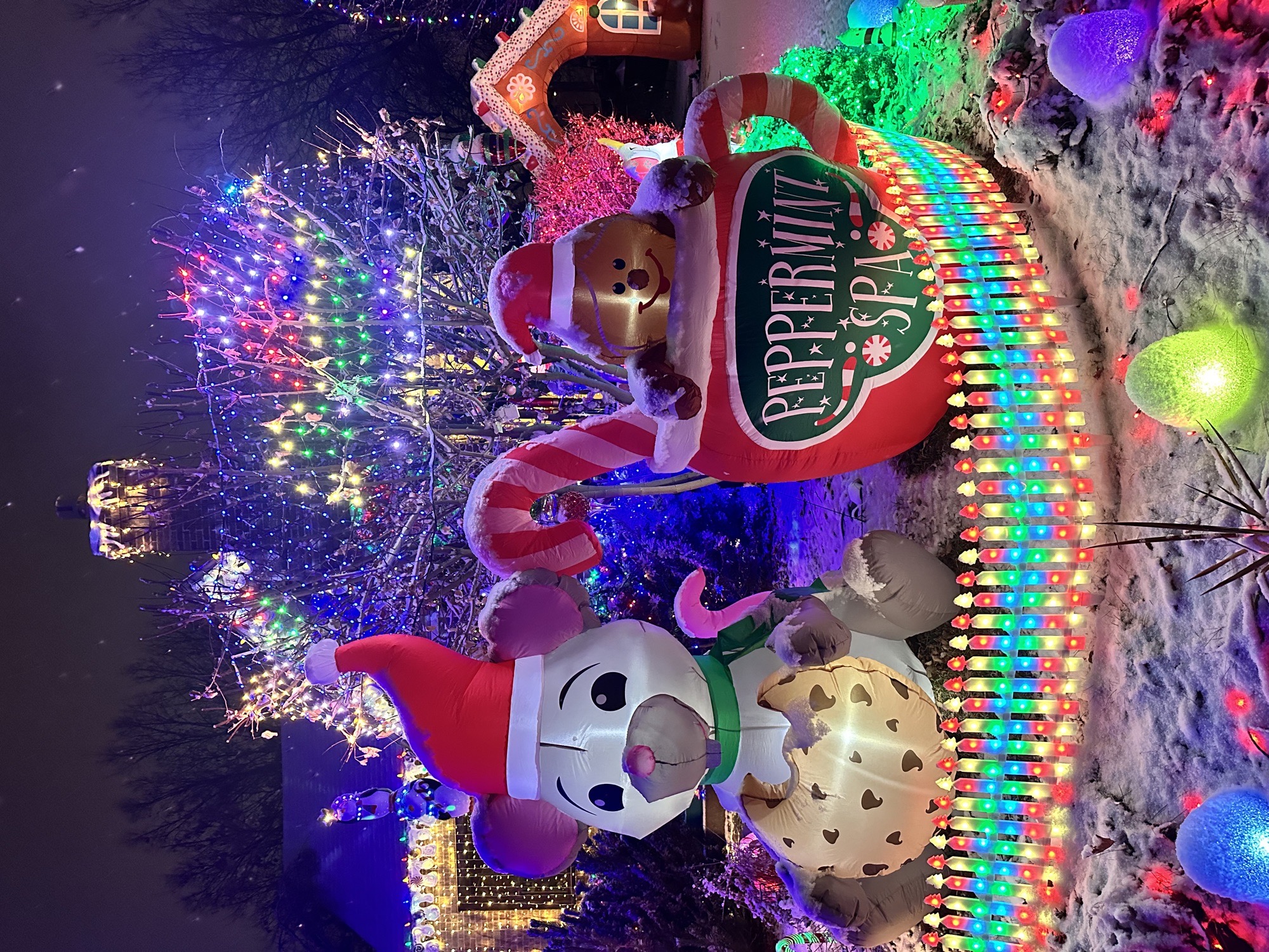 Ivy Street Holiday House, Christmas lights in Denver, CO (photo 3)