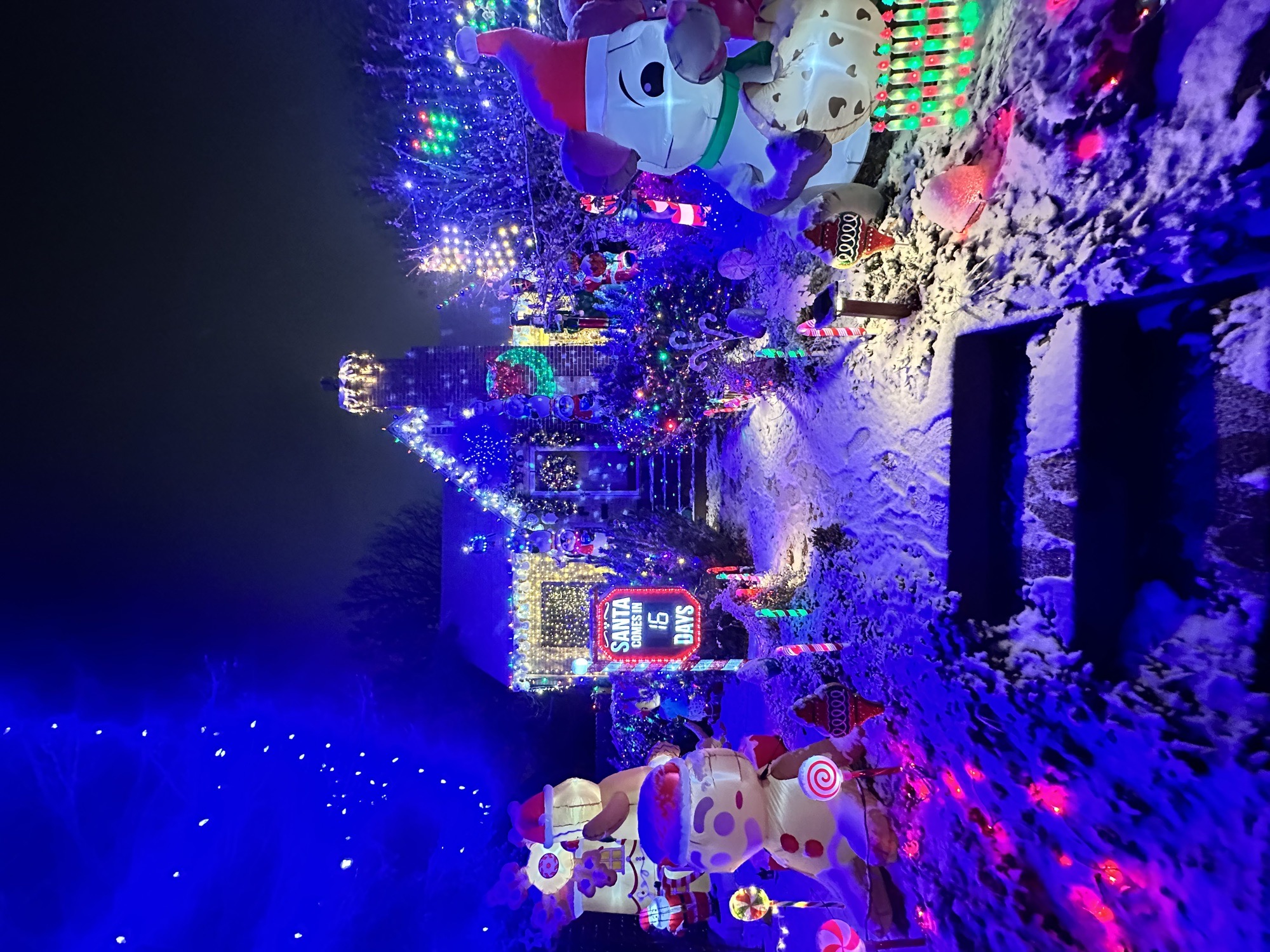 Ivy Street Holiday House, Christmas lights in Denver, CO (photo 4)