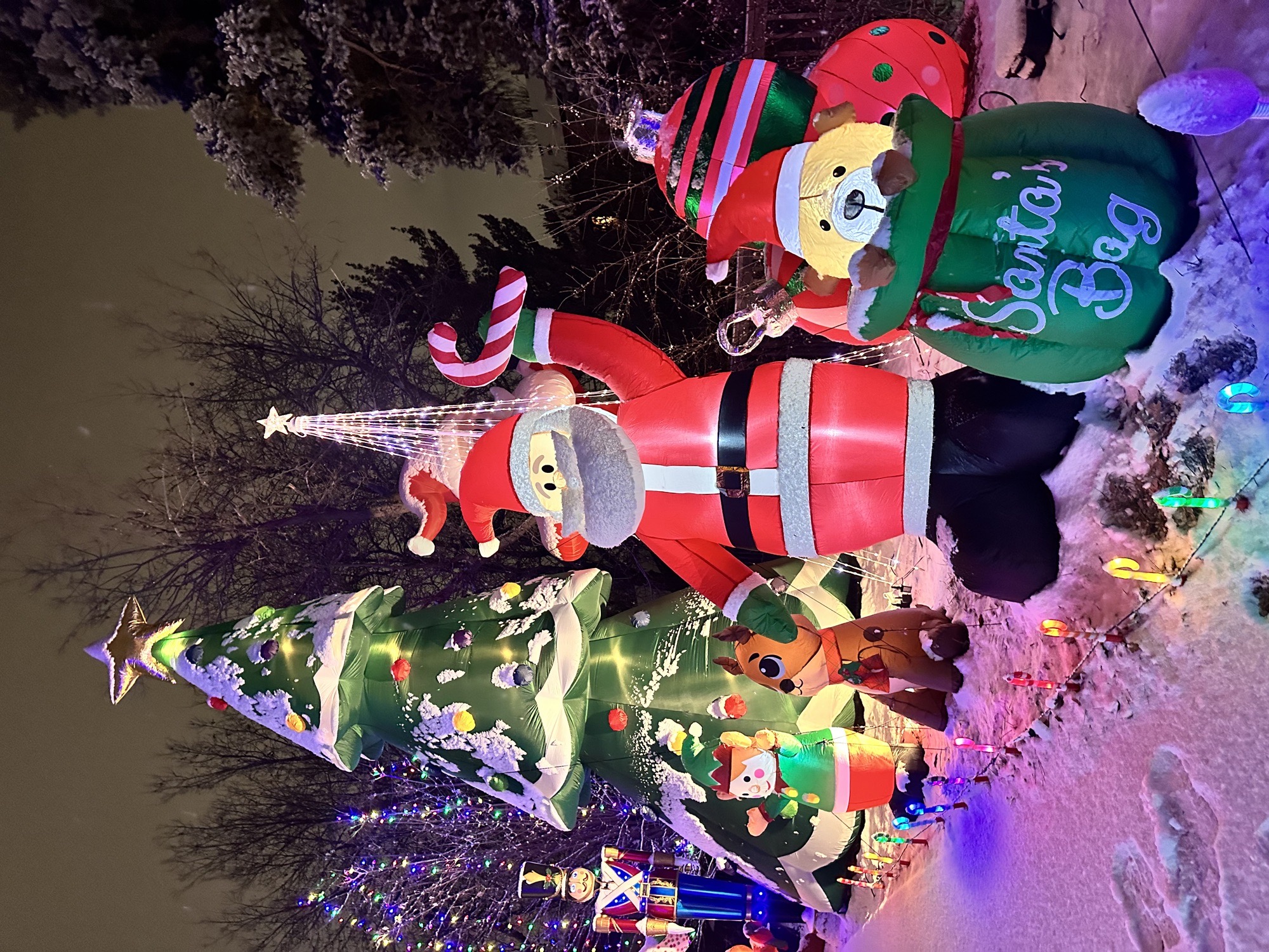 Ivy Street Holiday House, Christmas lights in Denver, CO (photo 5)