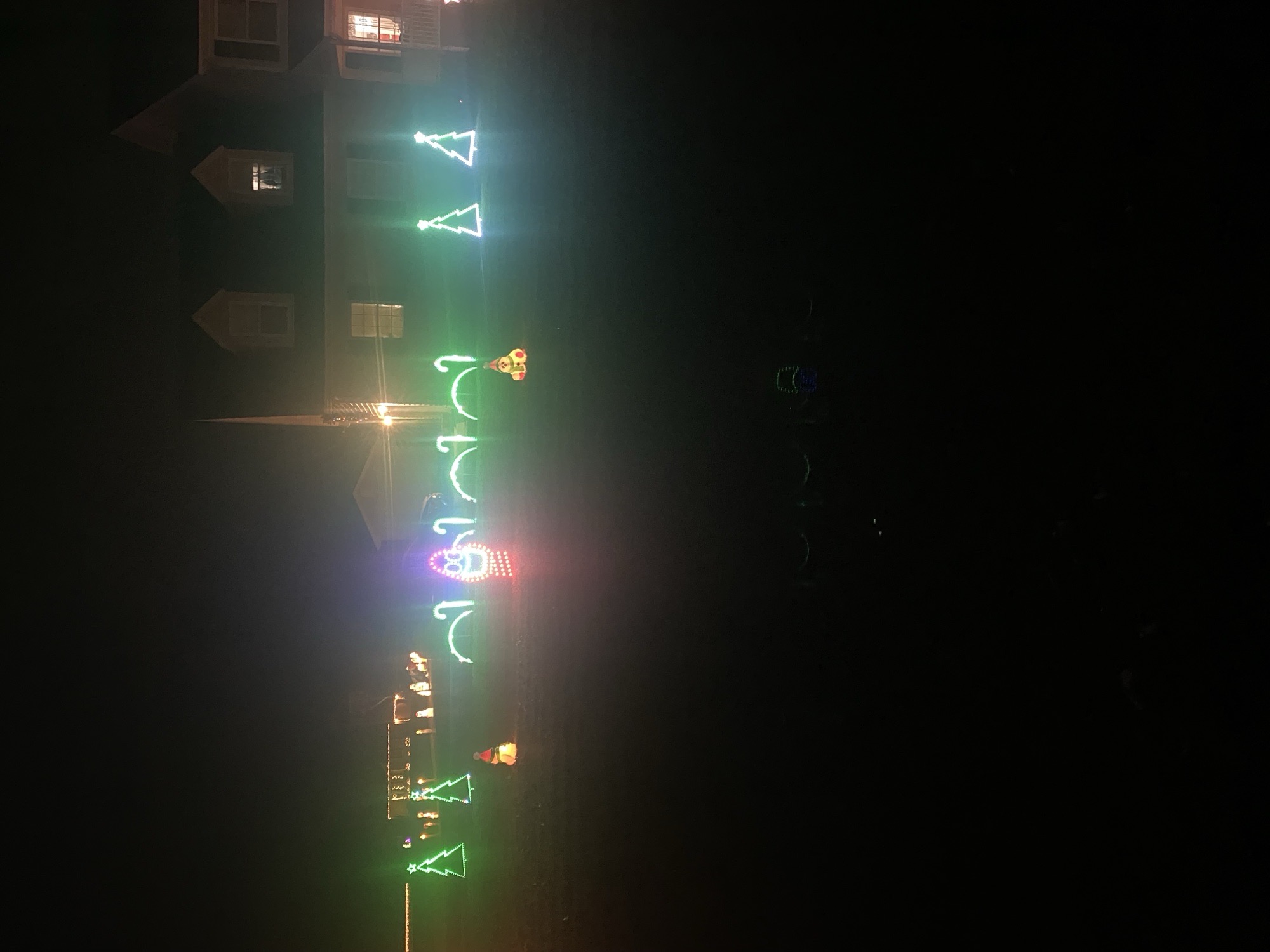 Jones Family Lights, Christmas lights in Bridgeville, DE (photo 1)