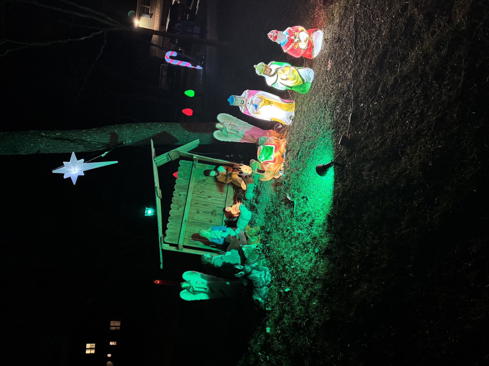 Ridgewood Circle Blowmold Collection, Christmas lights in Downingtown, PA (photo 1)