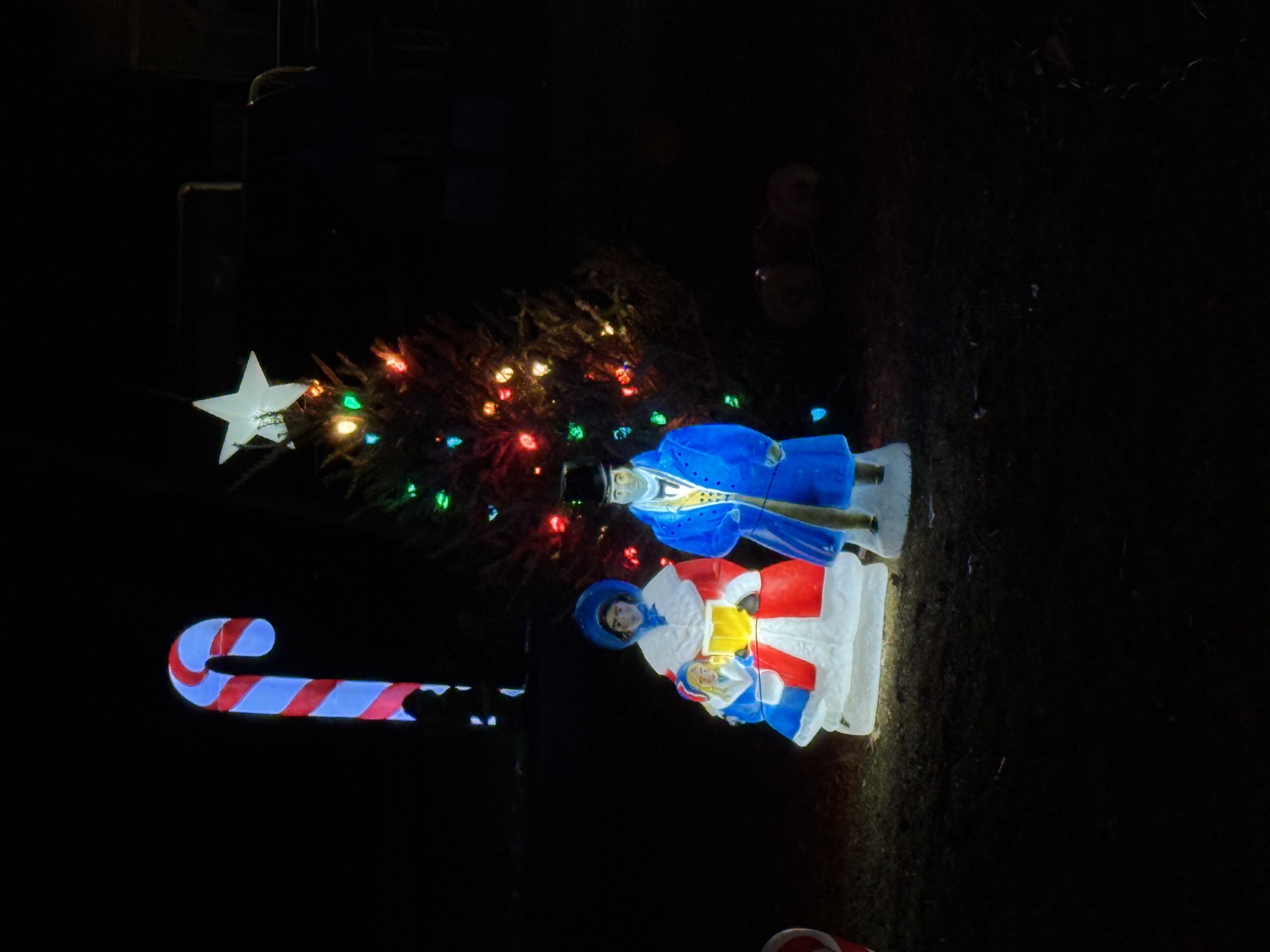 Ridgewood Circle Blowmold Collection, Christmas lights in Downingtown, PA (photo 2)