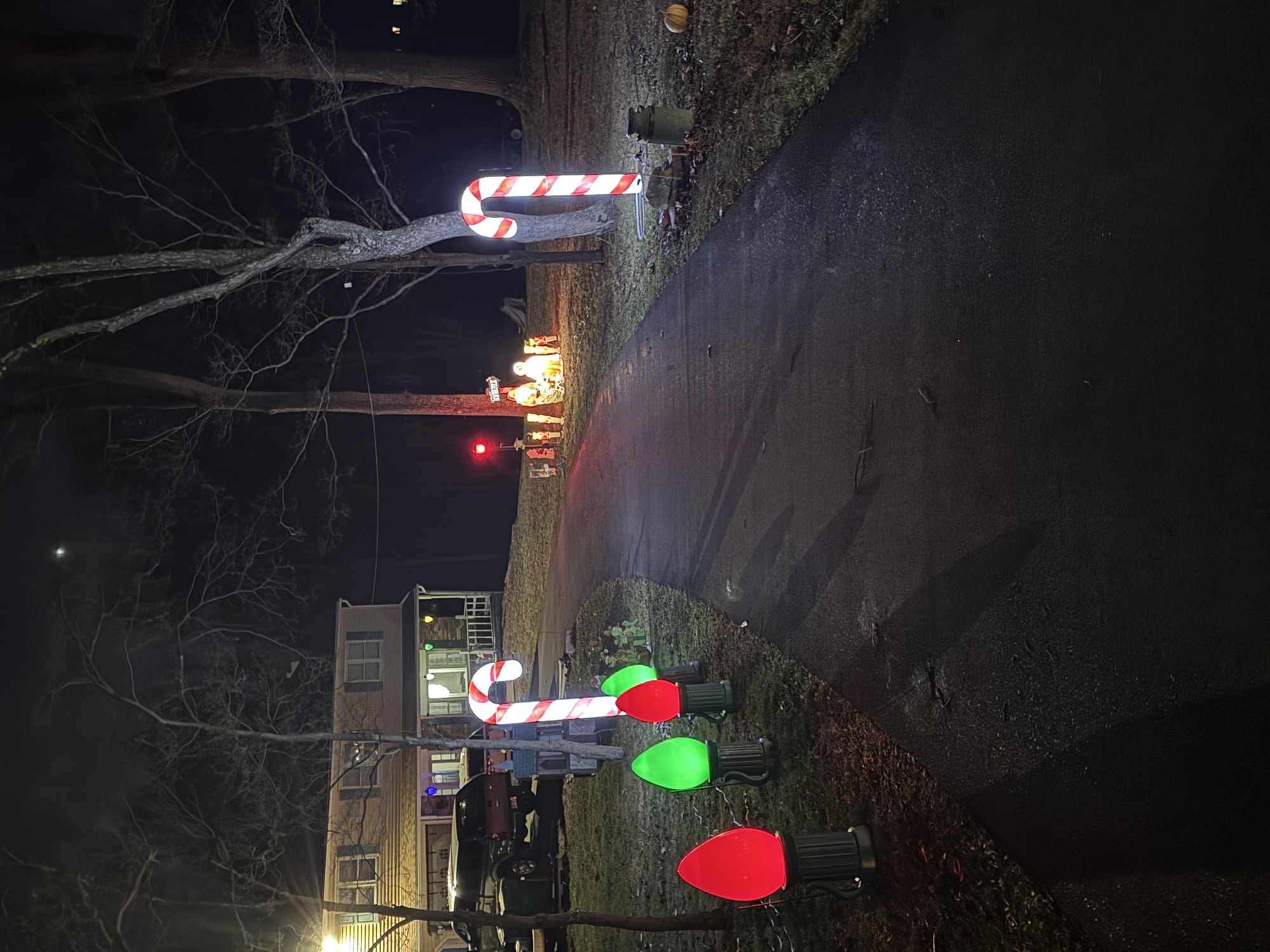 Ridgewood Circle Blowmold Collection, Christmas lights in Downingtown, PA (photo 3)