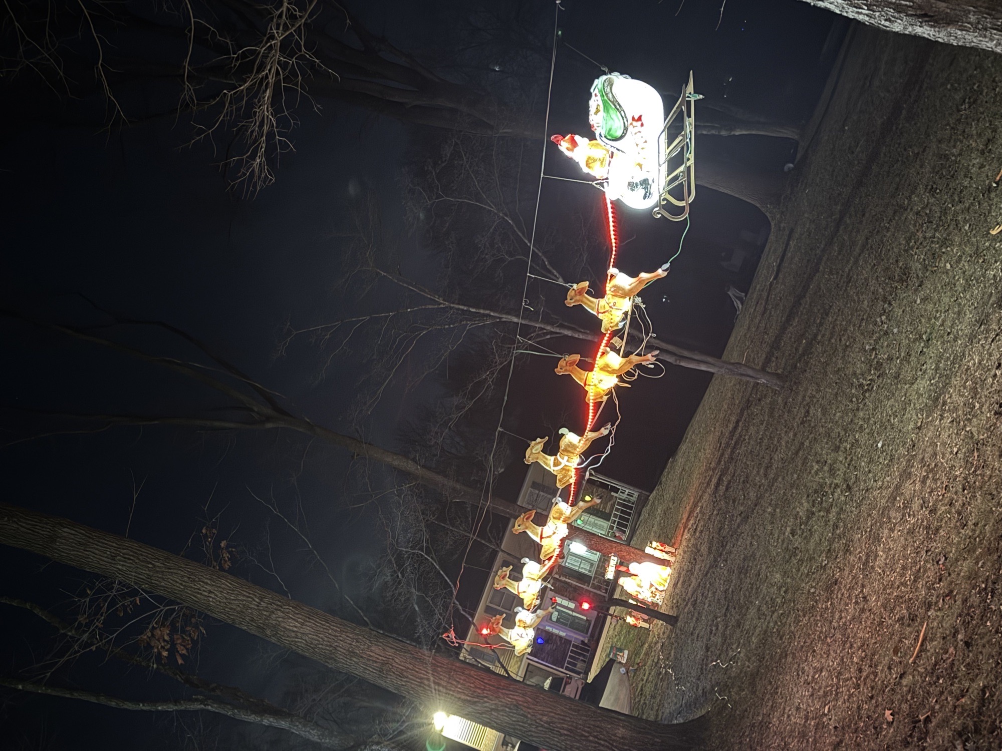 Ridgewood Circle Blowmold Collection, Christmas lights in Downingtown, PA (photo 4)