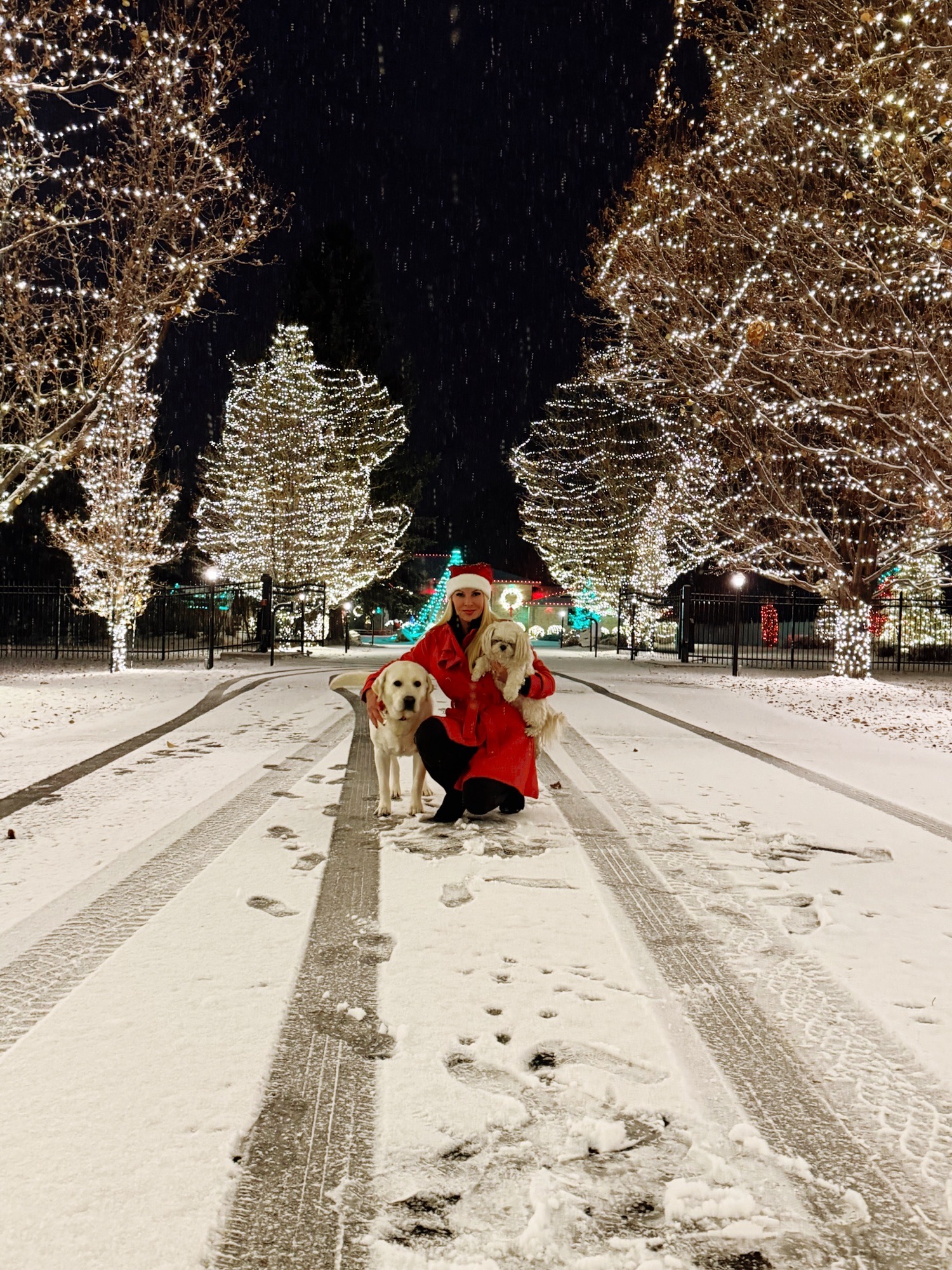 🎄Rushbunch Holiday Lane🎄, Christmas lights in Golden, CO (photo 1)