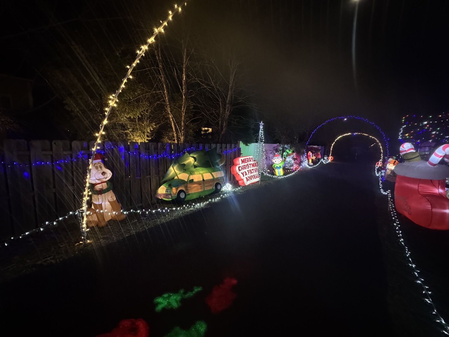Hart Family Christmas, Christmas lights in Collegeville, PA (photo 4)