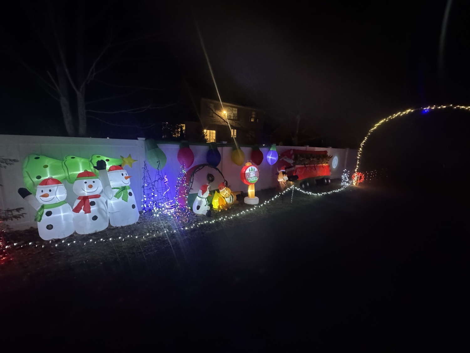 Hart Family Christmas, Christmas lights in Collegeville, PA (photo 5)