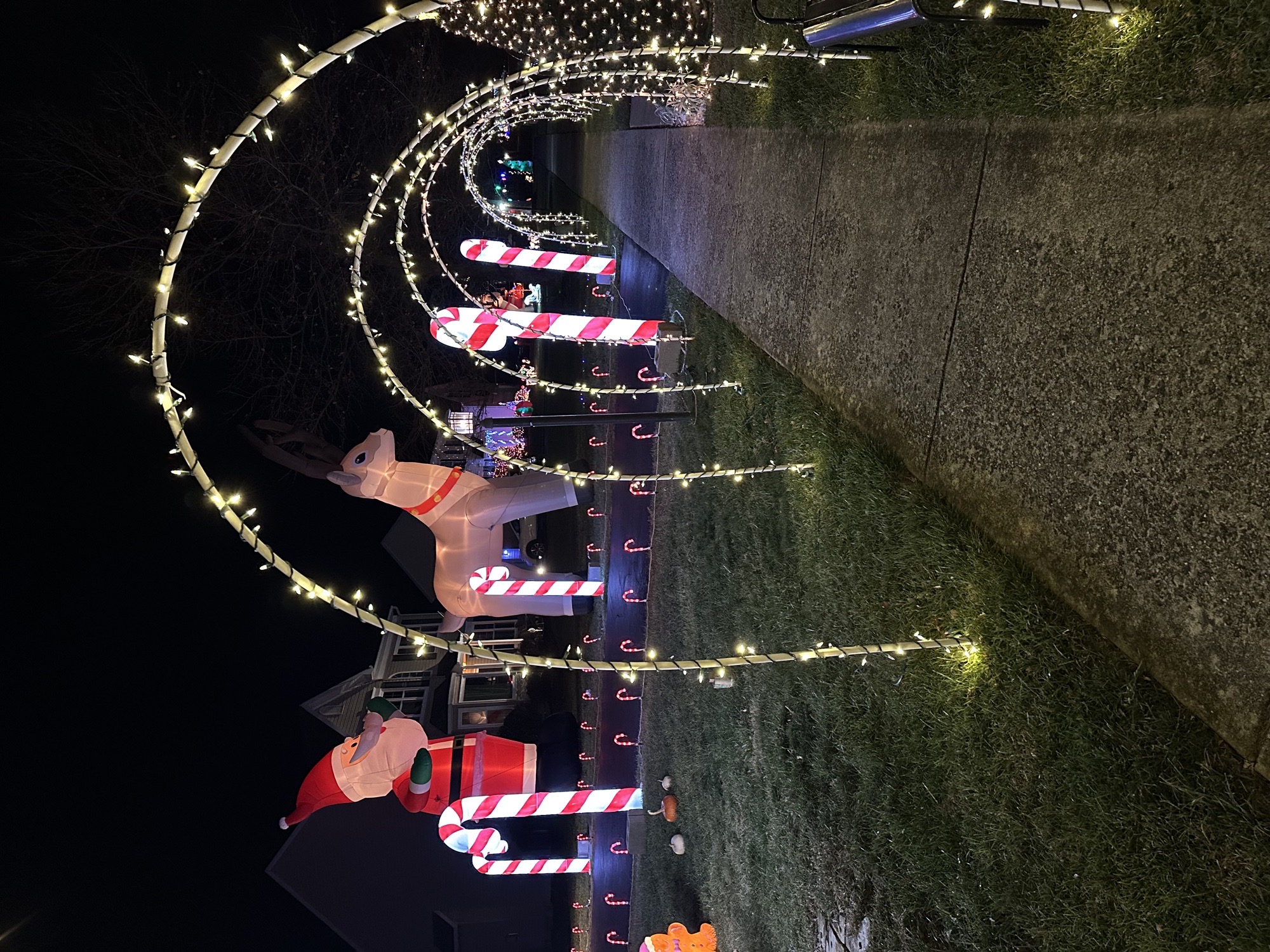 Giant inflatables, Christmas lights in Downingtown, PA (photo 2)