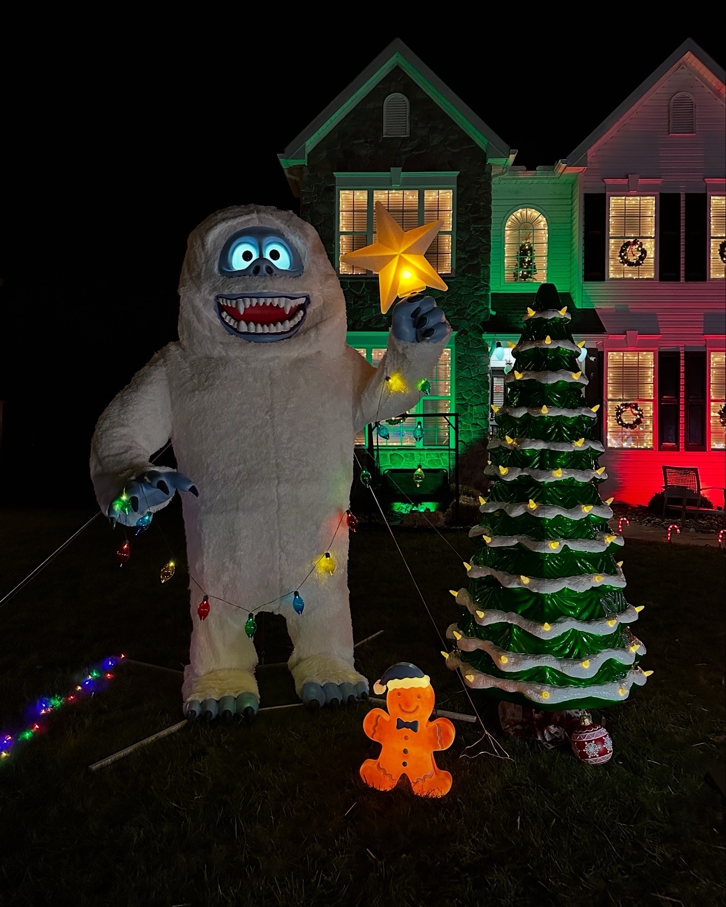 Giant inflatables, Christmas lights in Downingtown, PA (photo 4)