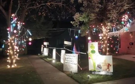 Meet The Grinch, Christmas lights in Elmhurst, IL (photo 1)
