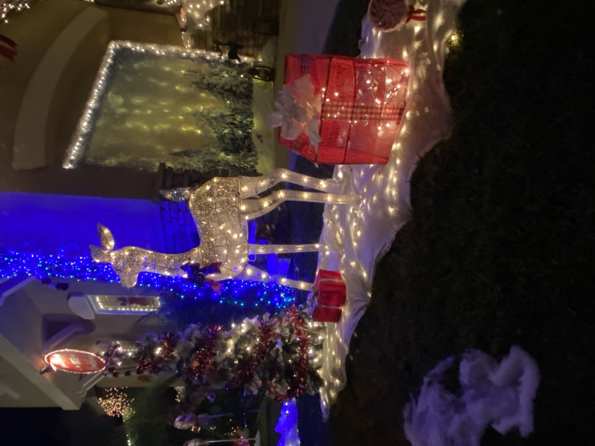 Brian & Stacey’s Winter Wonderland, Christmas lights in Hemet, CA (photo 2)