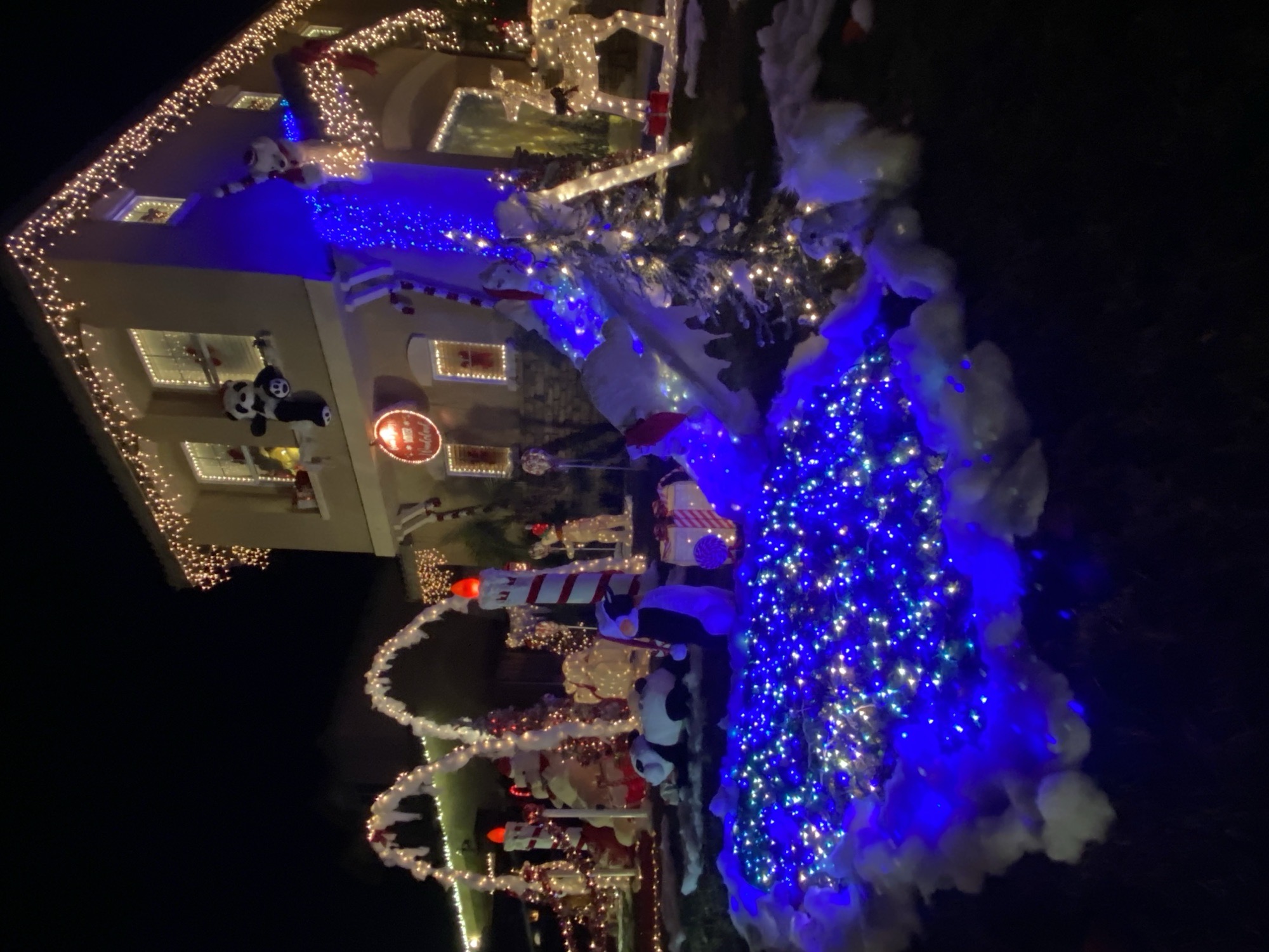 Brian & Stacey’s Winter Wonderland, Christmas lights in Hemet, CA (photo 3)